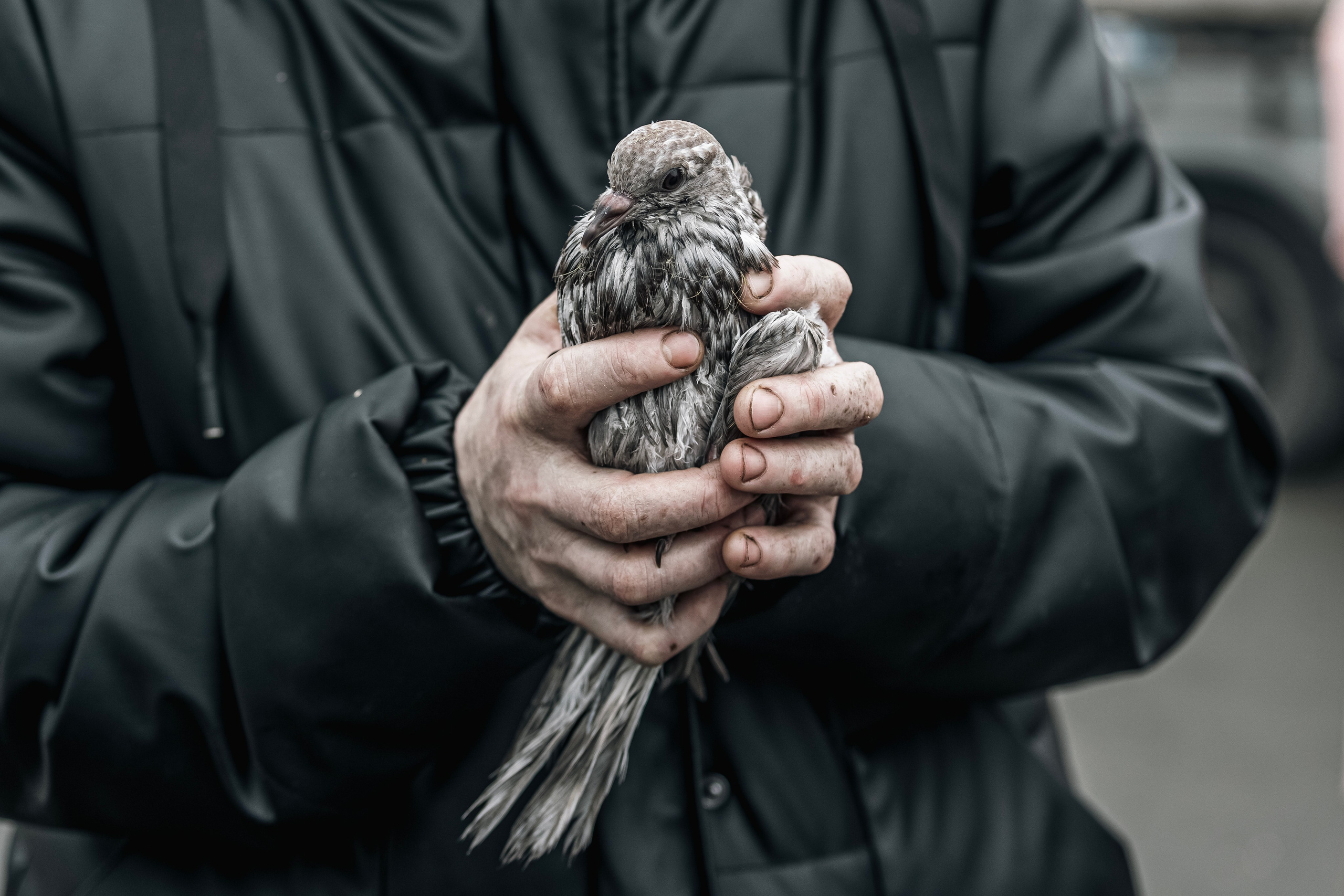 Наводнение в Орске. Репортажный фотограф Наталья Лапцевич