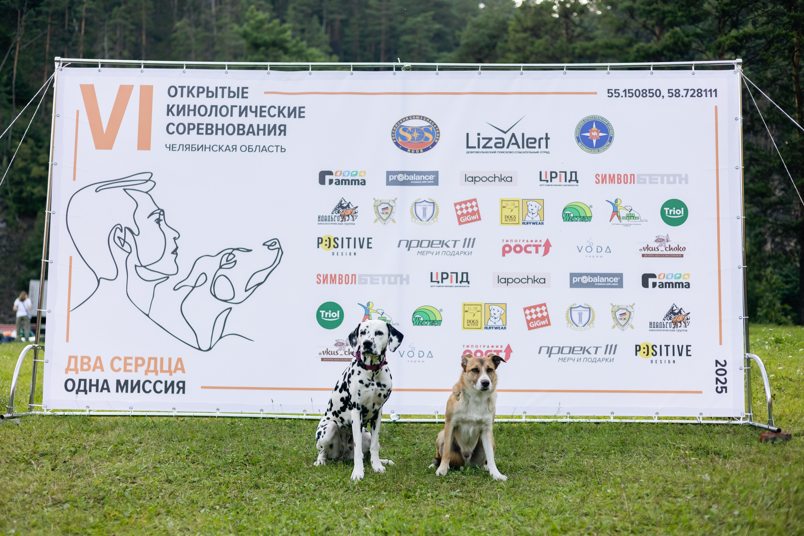 VI ОТКРЫТЫЕ КИНОЛОГИЧЕСКИЕ СОРЕВНОВАНИЯ. ЧЕЛЯБИНСКАЯ ОБЛАСТЬ 2025. Репортажный фотограф Наталья Лапцевич