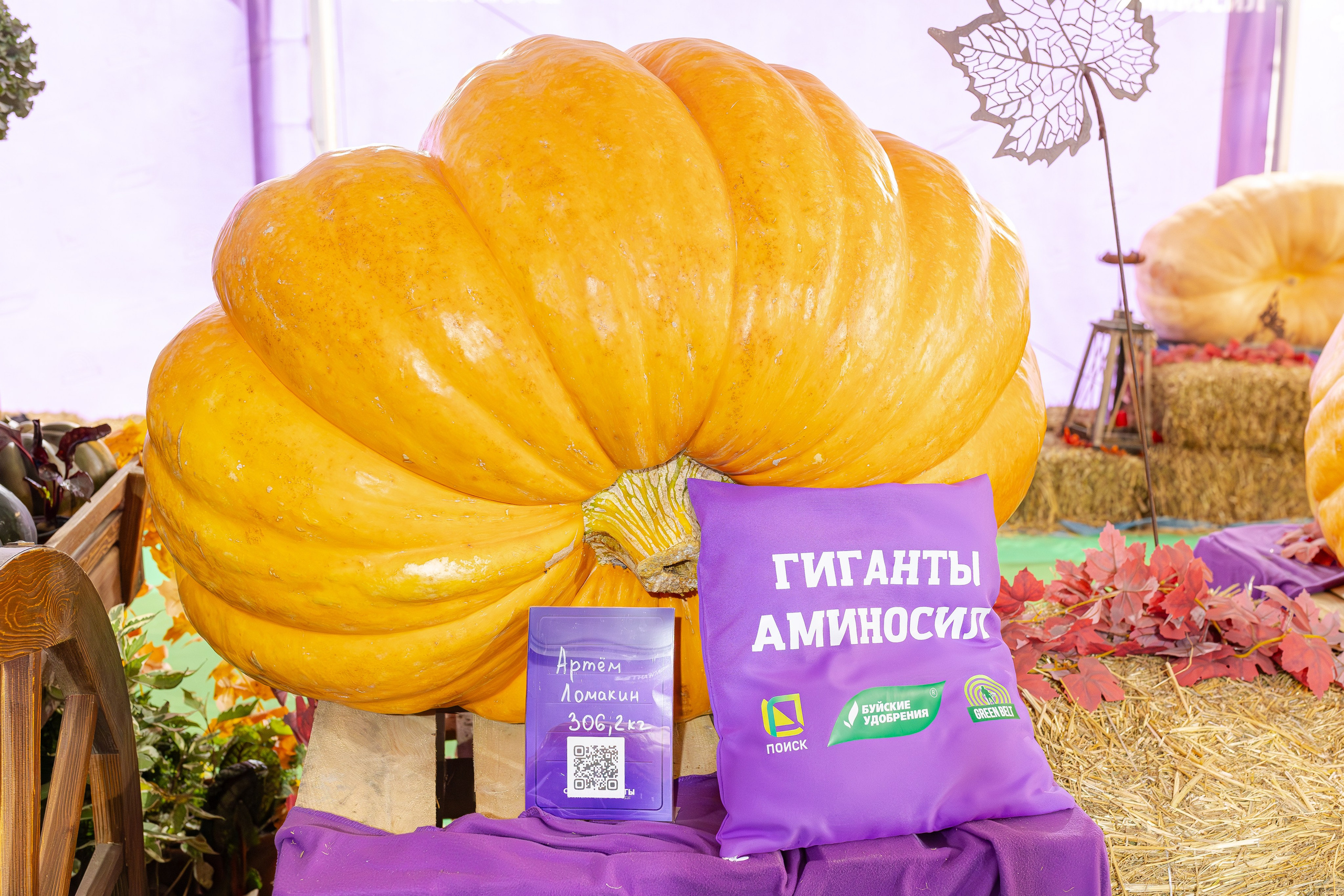 Овощи-гиганты. Александра Куликова фотограф, Москва