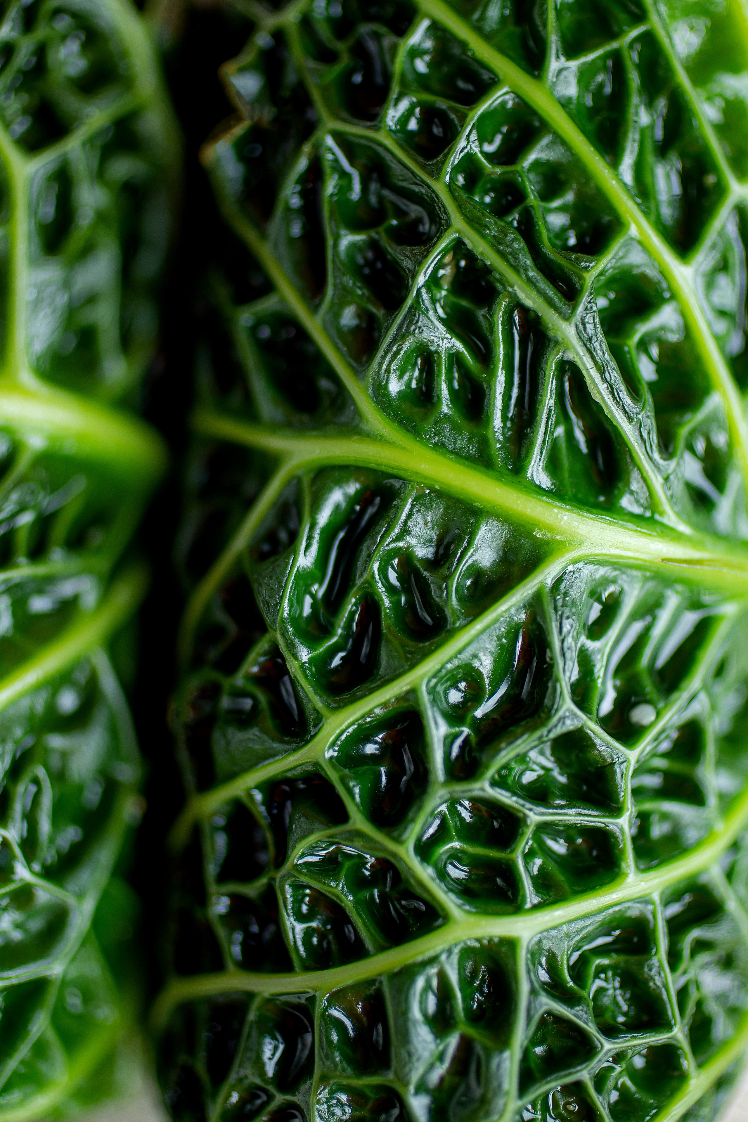 LEVELS. Фотограф Агеева Мария