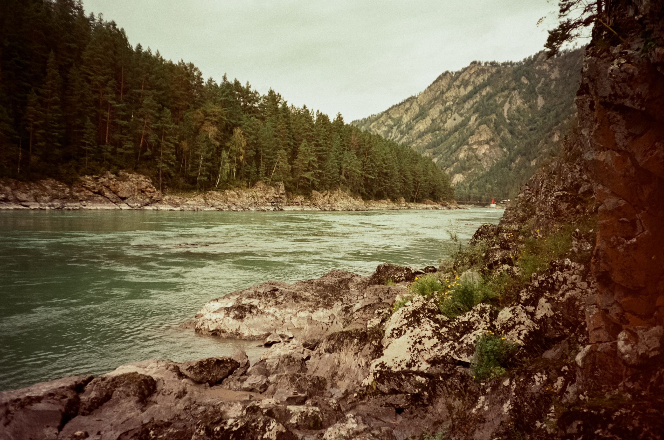 Село Черга в Верхах Алтая. Лошадки в Манжероке и панорамы Катуни. Фотограф-документалист Мария Осокина