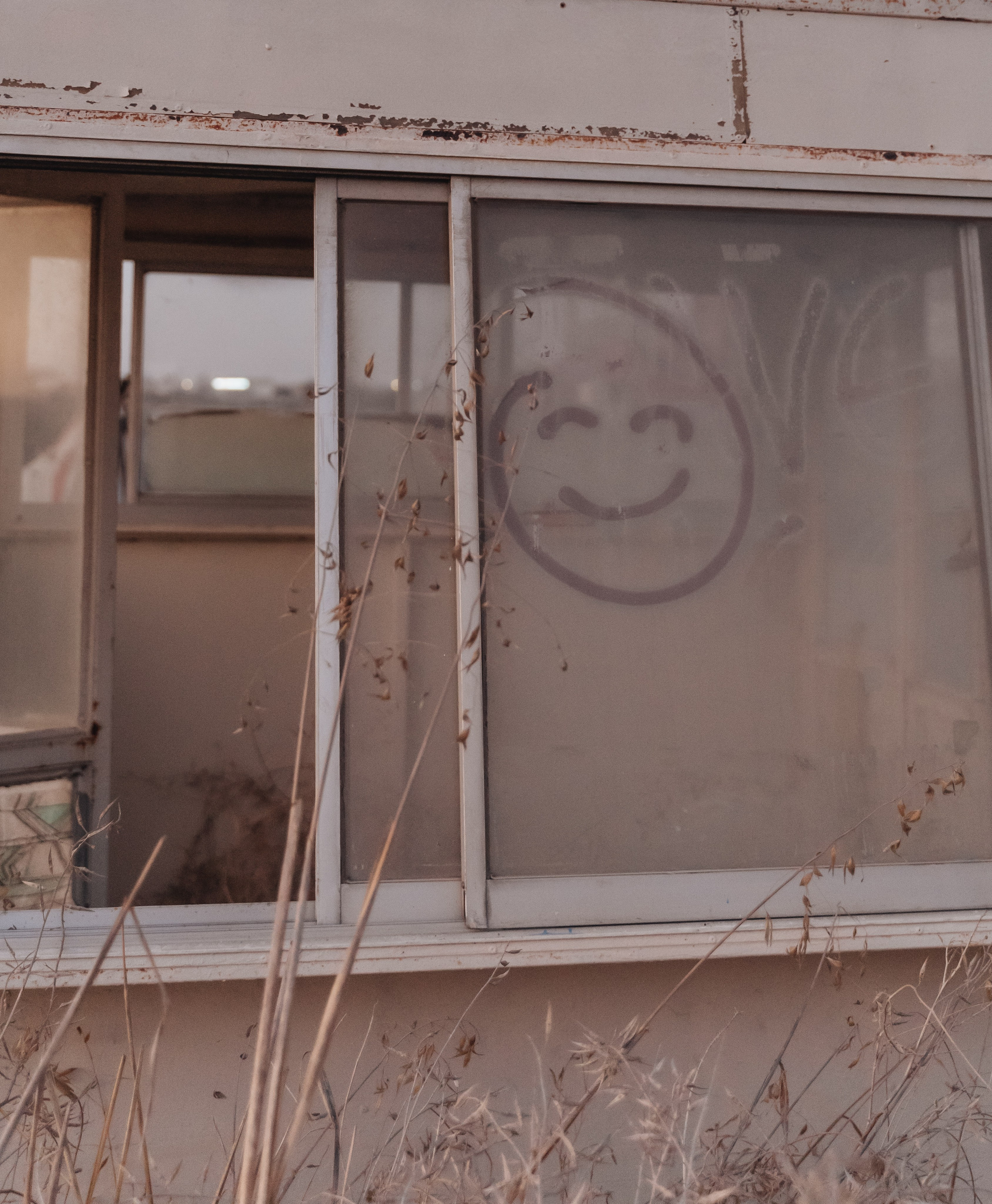 Данис. Свадебный и семейный фотограф Ирина Чернова