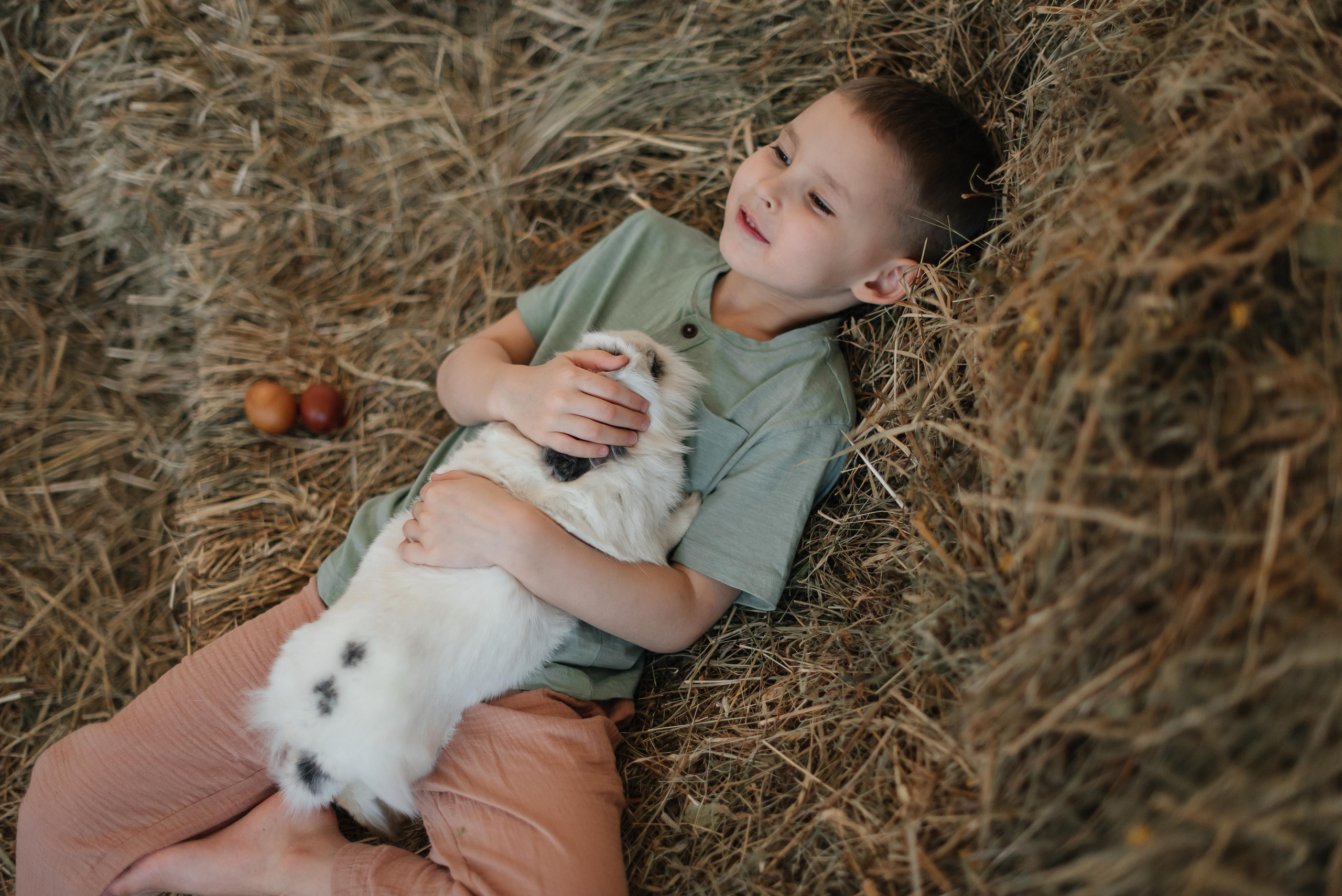 Отзывы. Фотограф Мария Орлова (Мирный, Плесецк, Каргополь)