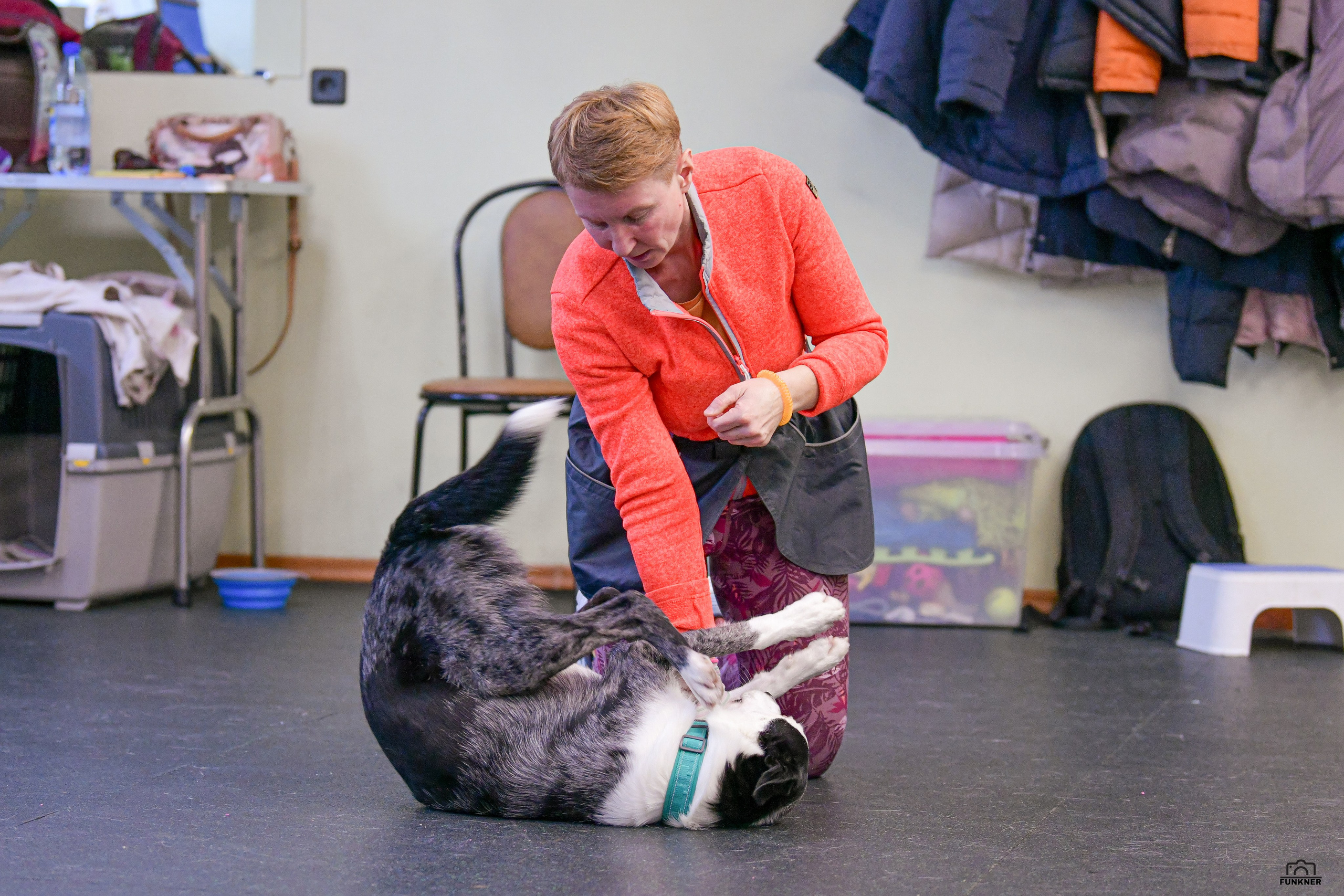 Кинологический клуб «Бодрый хвост». Свой взгляд через объектив