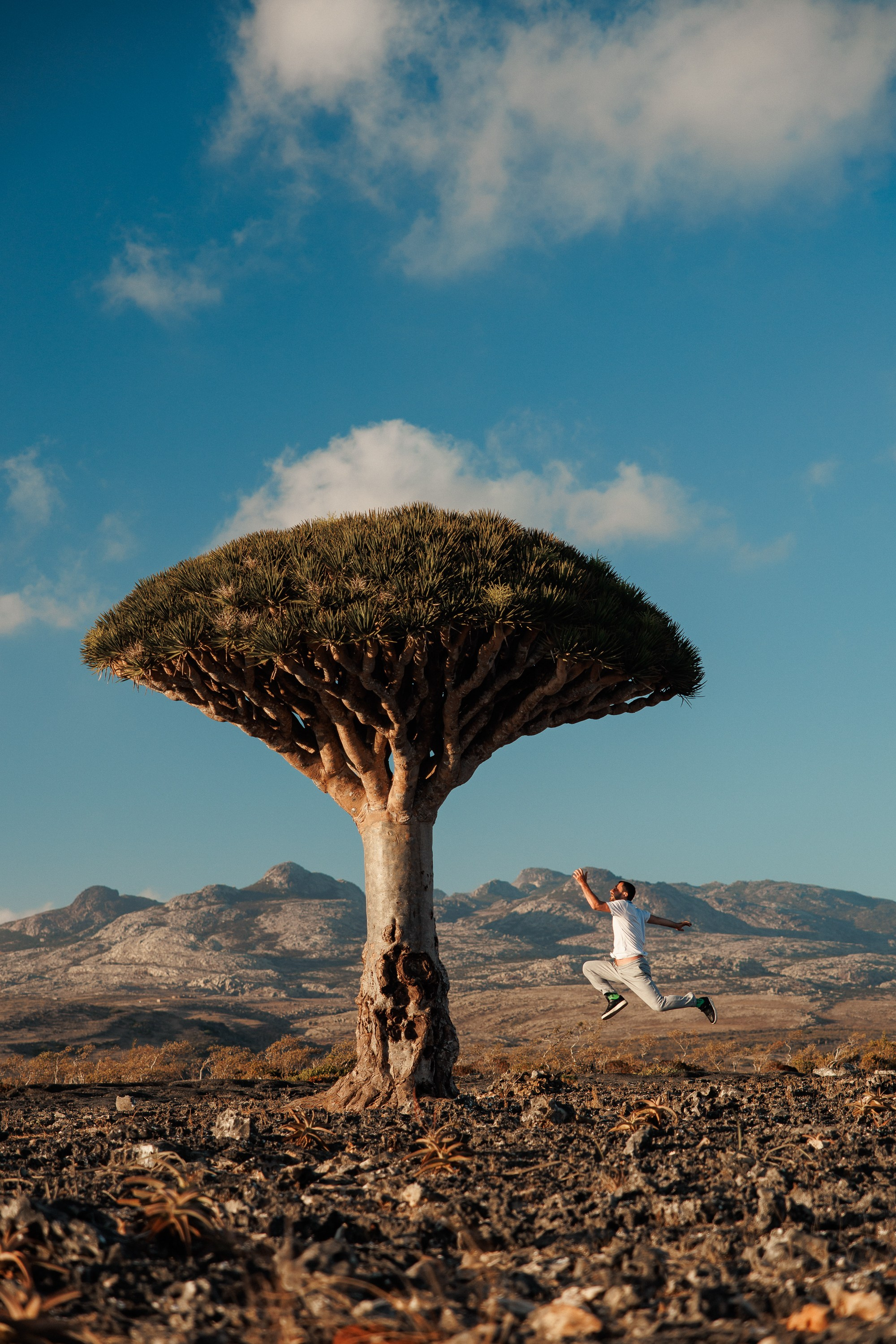Socotra