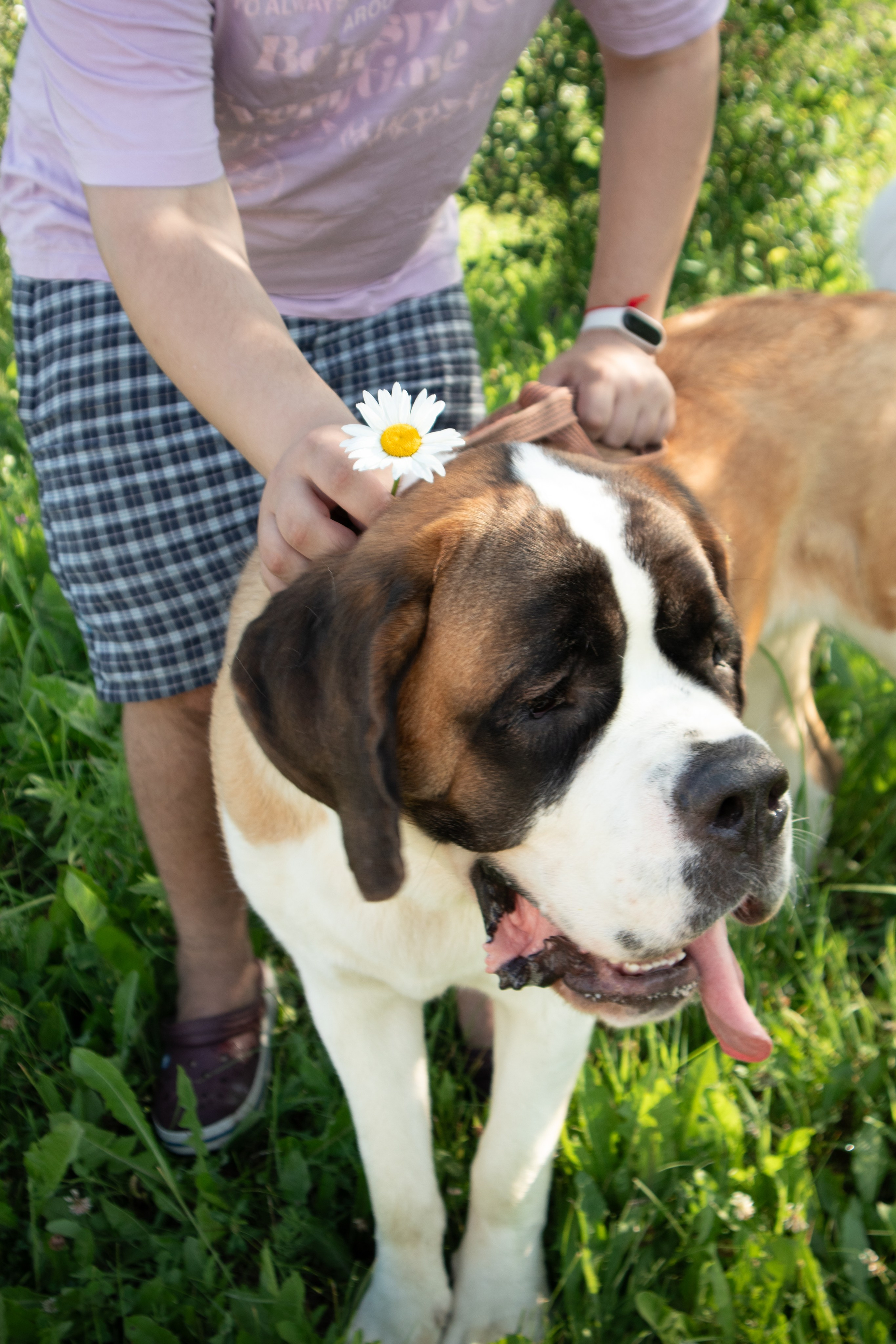 С животными. Фотограф Новосибирск, Академгородок, Бердск — Айна