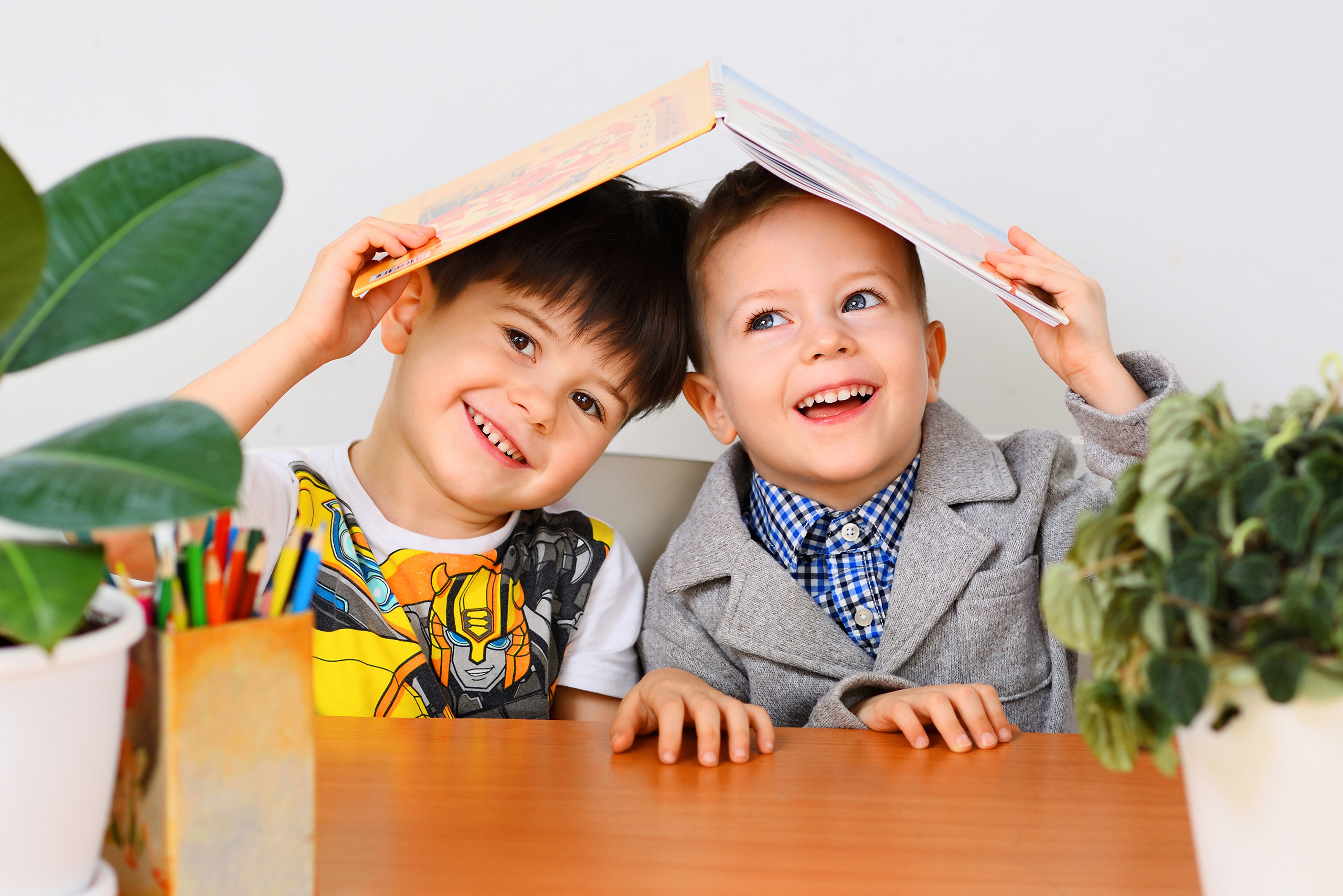 Два мальчика в детском саду играют в домик из книги.