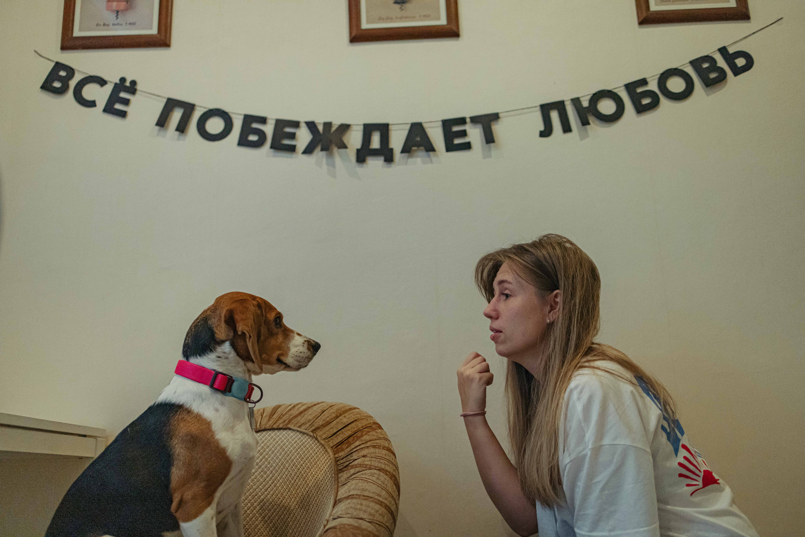 Света и Ива. Фотограф-анималист в Москве Лера Черноног