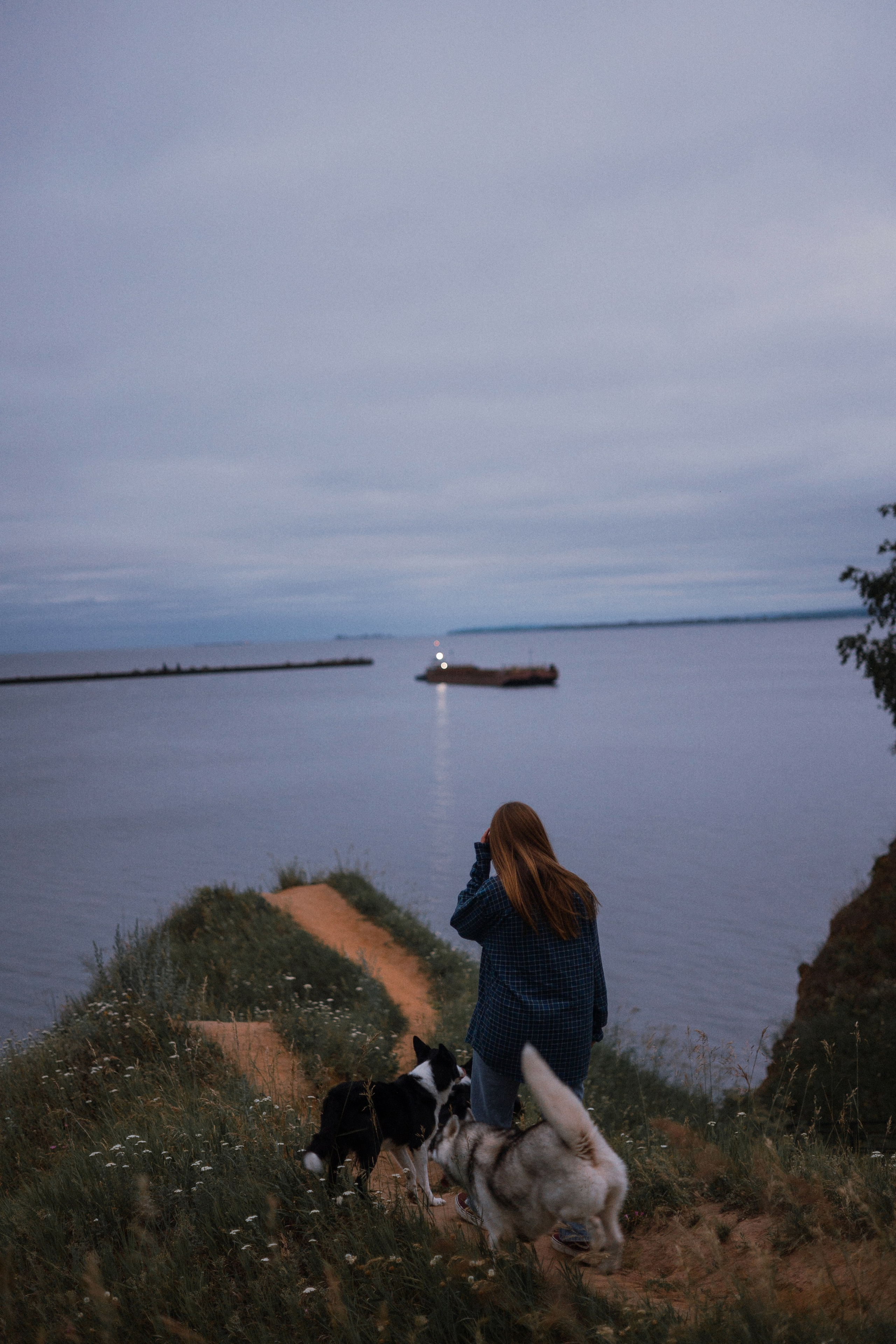 Аделя, Вандер, Шайна и Бая. Фотограф-анималист Богданова Полина