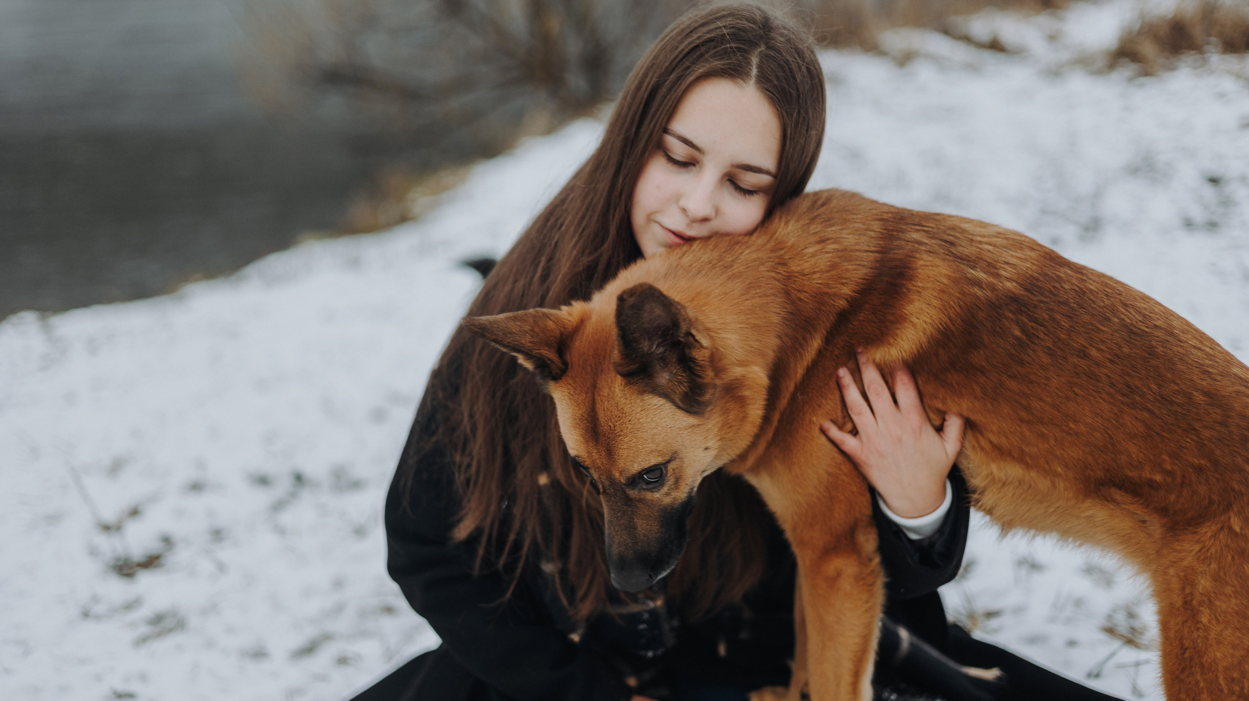 Юля, Лара и Йоми. Фотограф-анималист Богданова Полина