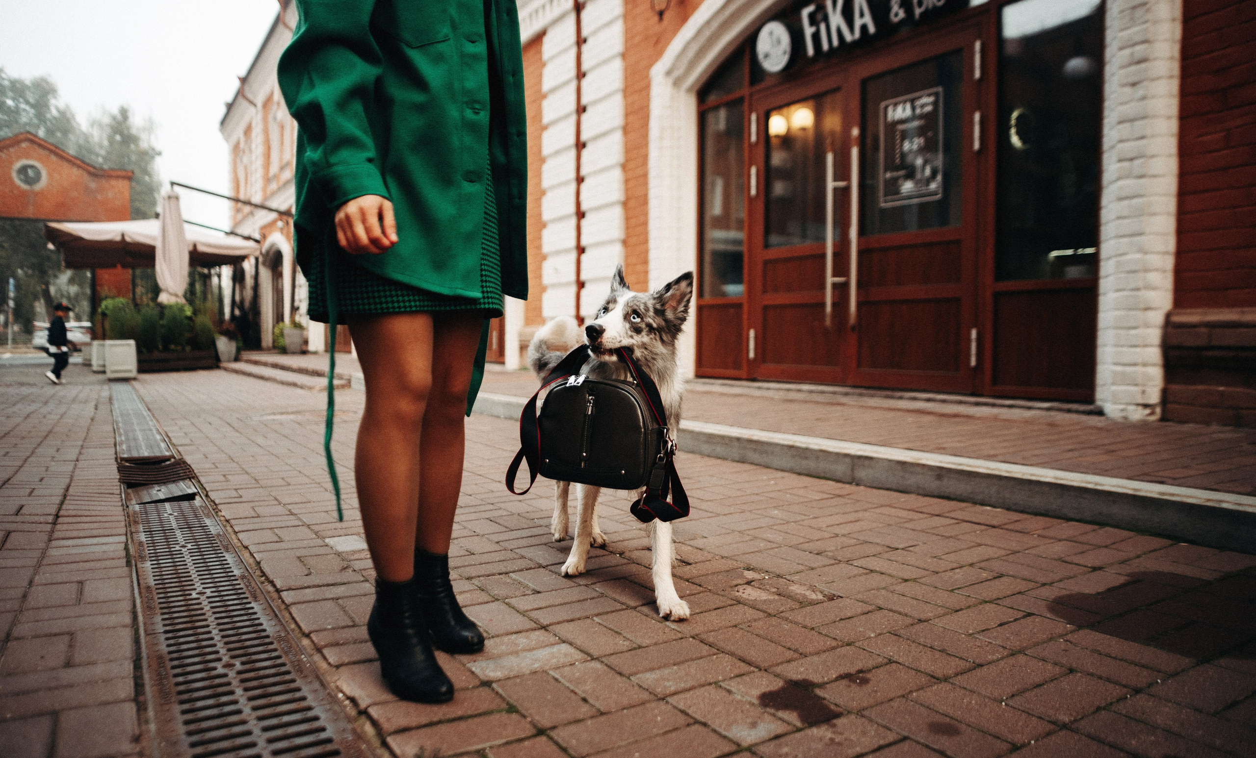 Диана и Робин. Фотограф-анималист Богданова Полина