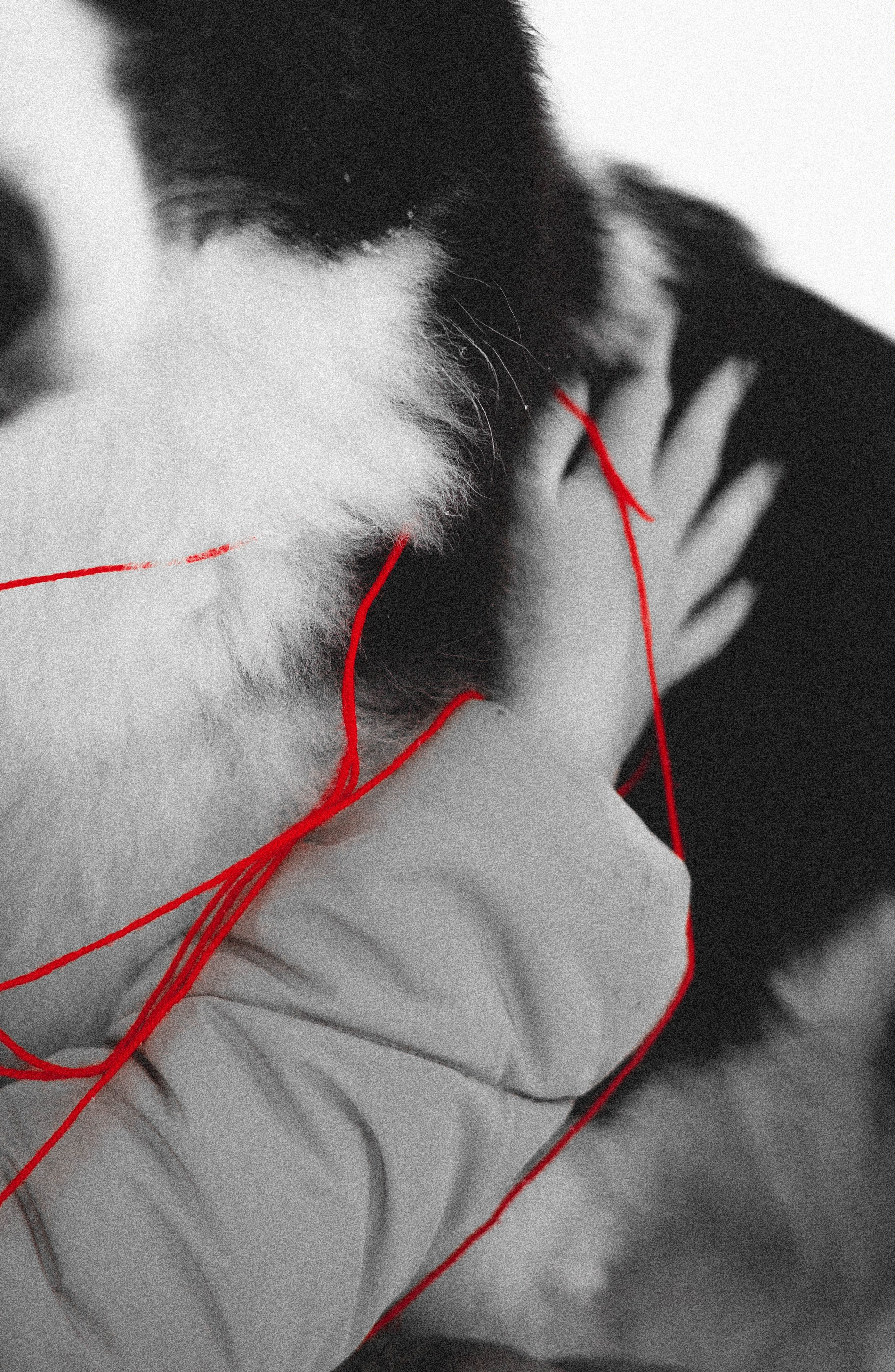 Анна и Тео. Фотограф-анималист Богданова Полина