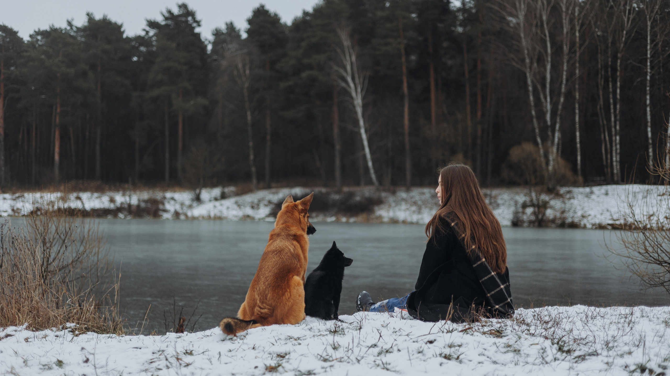 Юля, Лара и Йоми. Фотограф-анималист Богданова Полина
