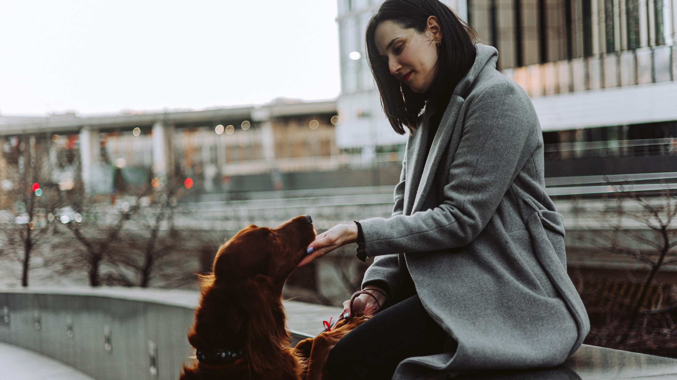 Маша и Лика. Фотограф-анималист Богданова Полина