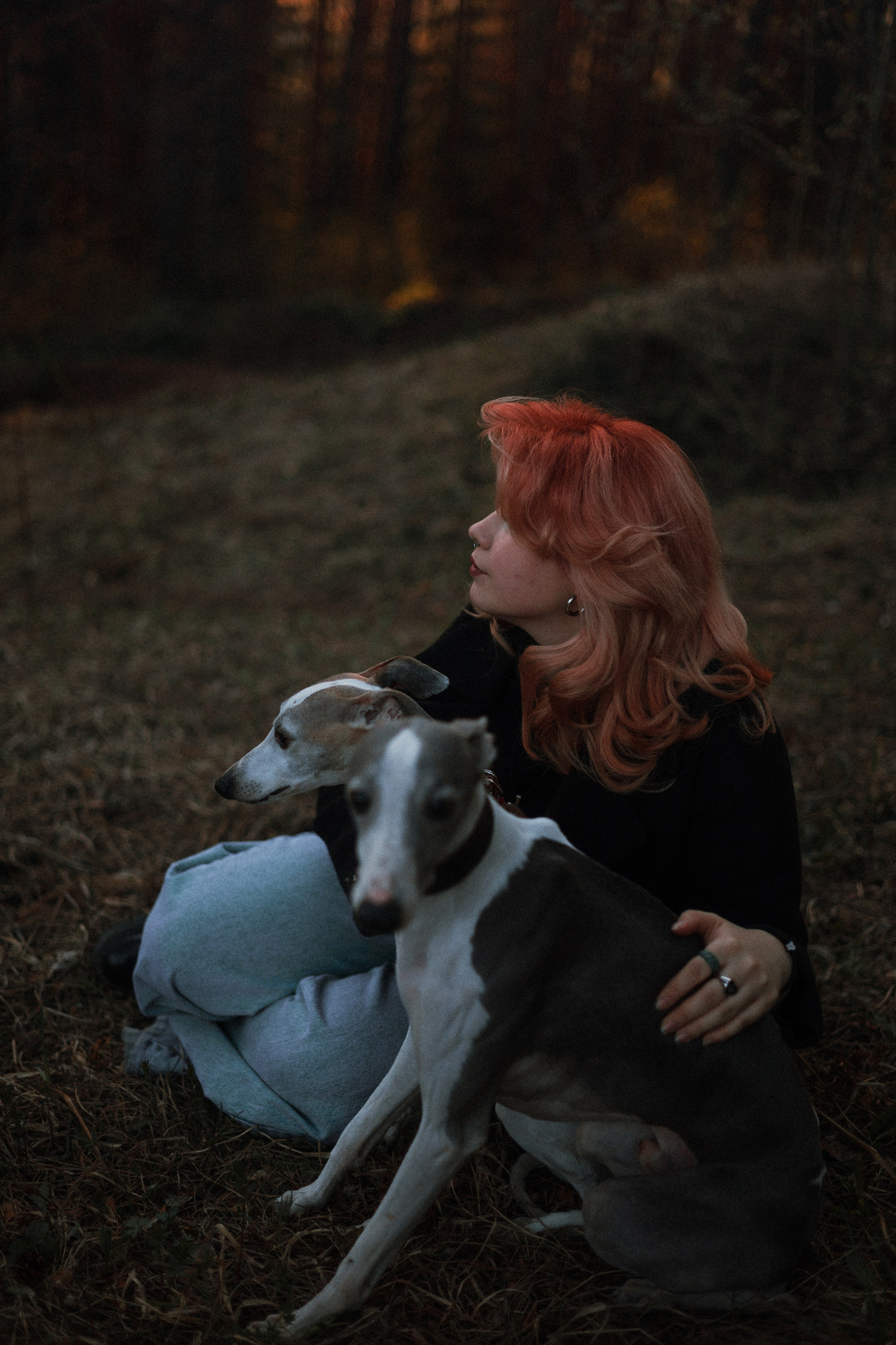 Вика, Джем и Белла. Фотограф-анималист Богданова Полина