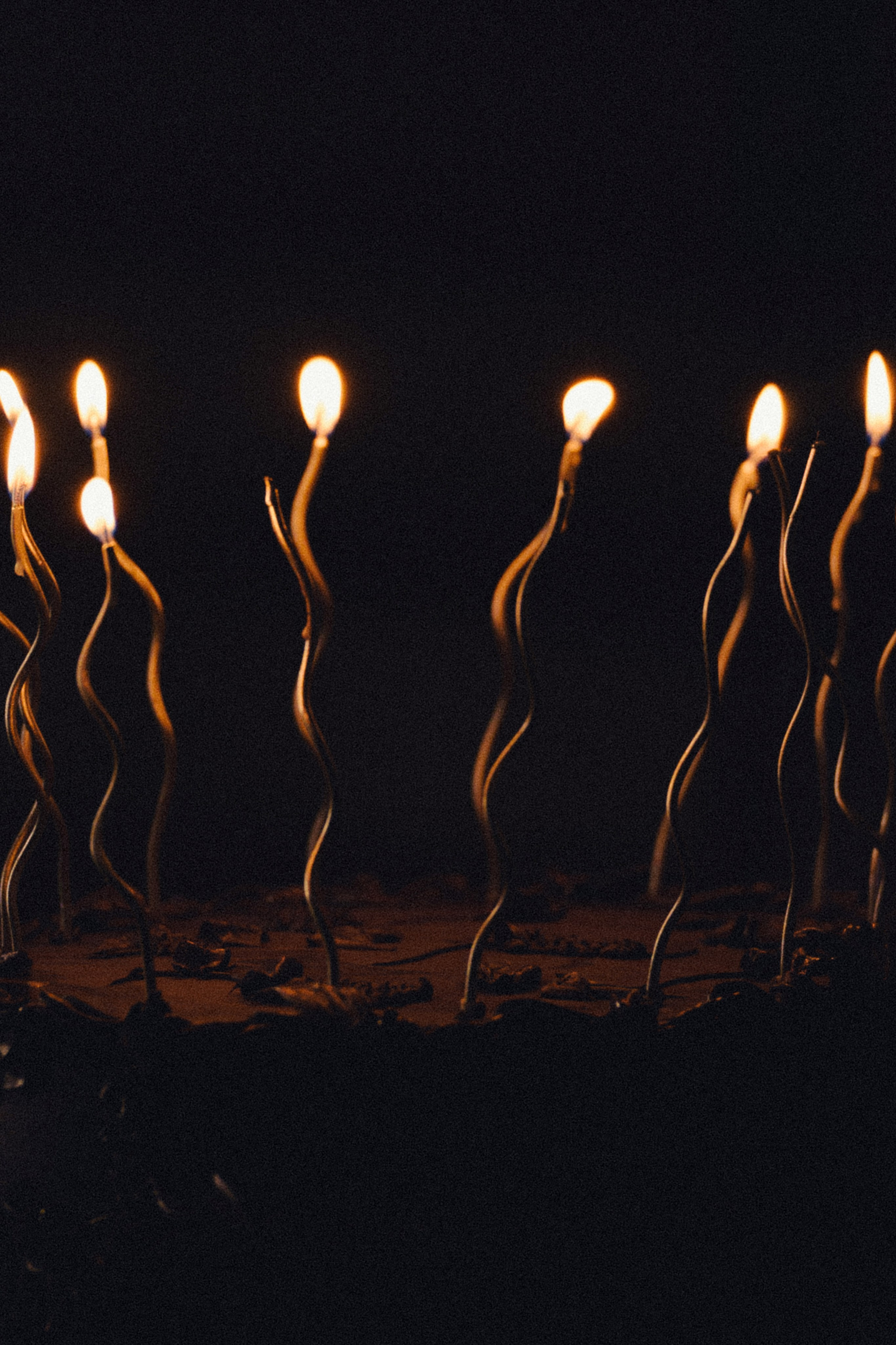 АЛЁНА И ДЕНИС. Свадебный и семейный фотограф Никита Корохов