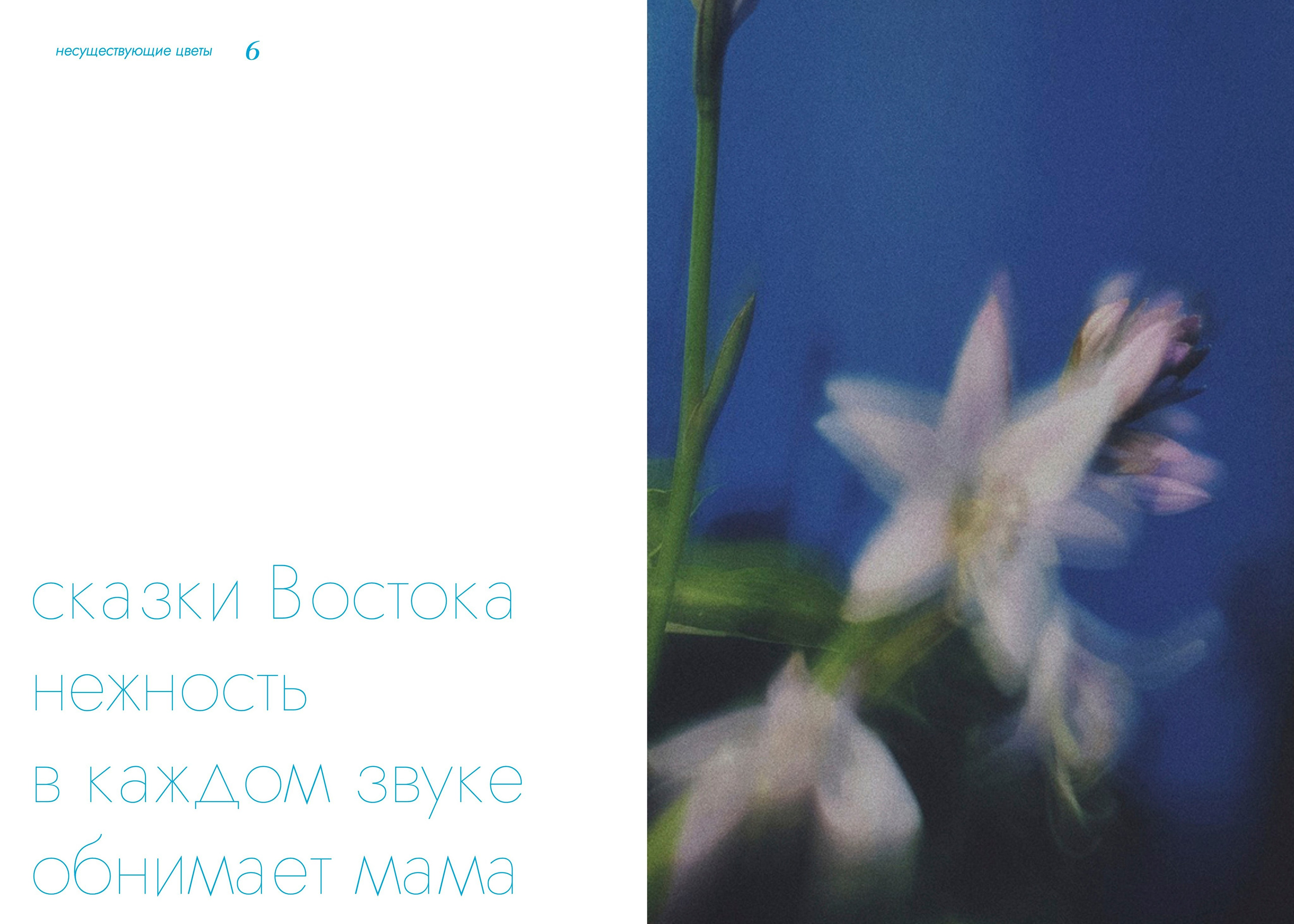 BOOK ART. Фотограф Евгений Чащихин RGB АРХИТЕКТОР в Перми