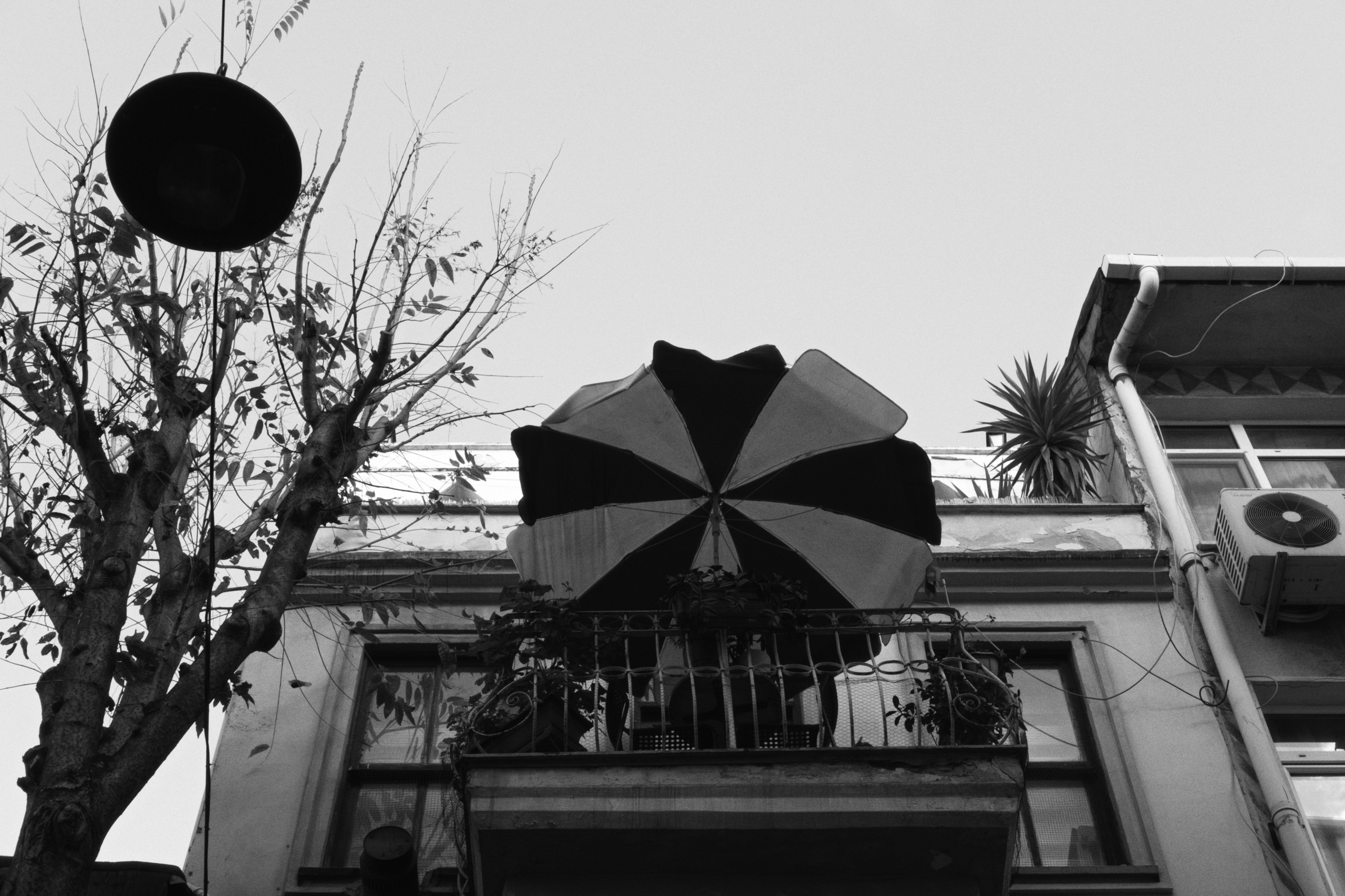 Kadikoy x Moda, Istanbul / Türkey AW25. Фотограф Юрин Евгений