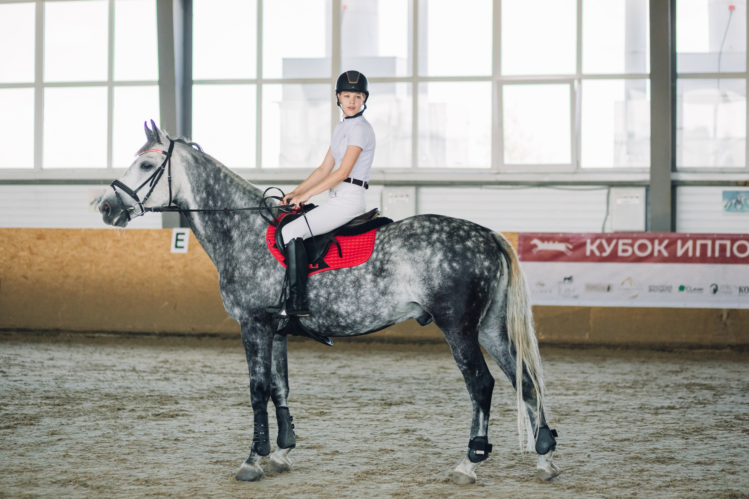 Соревнования. Ольга Белова. Портреты с лошадьми. Конная фотография