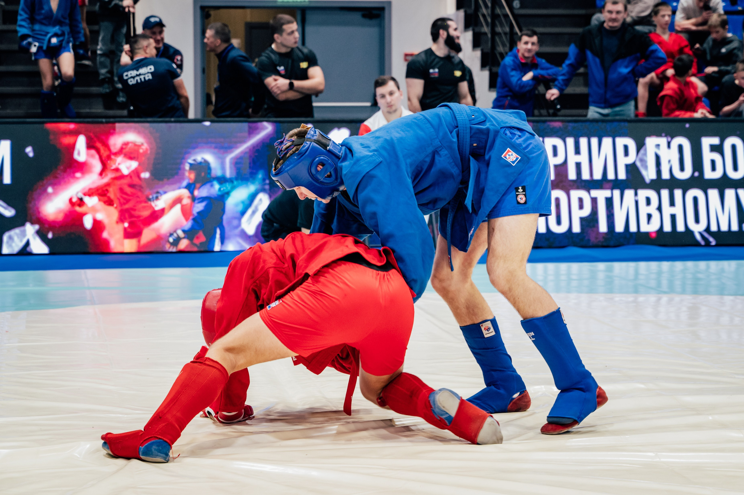 Турнир по самбо ЮФО