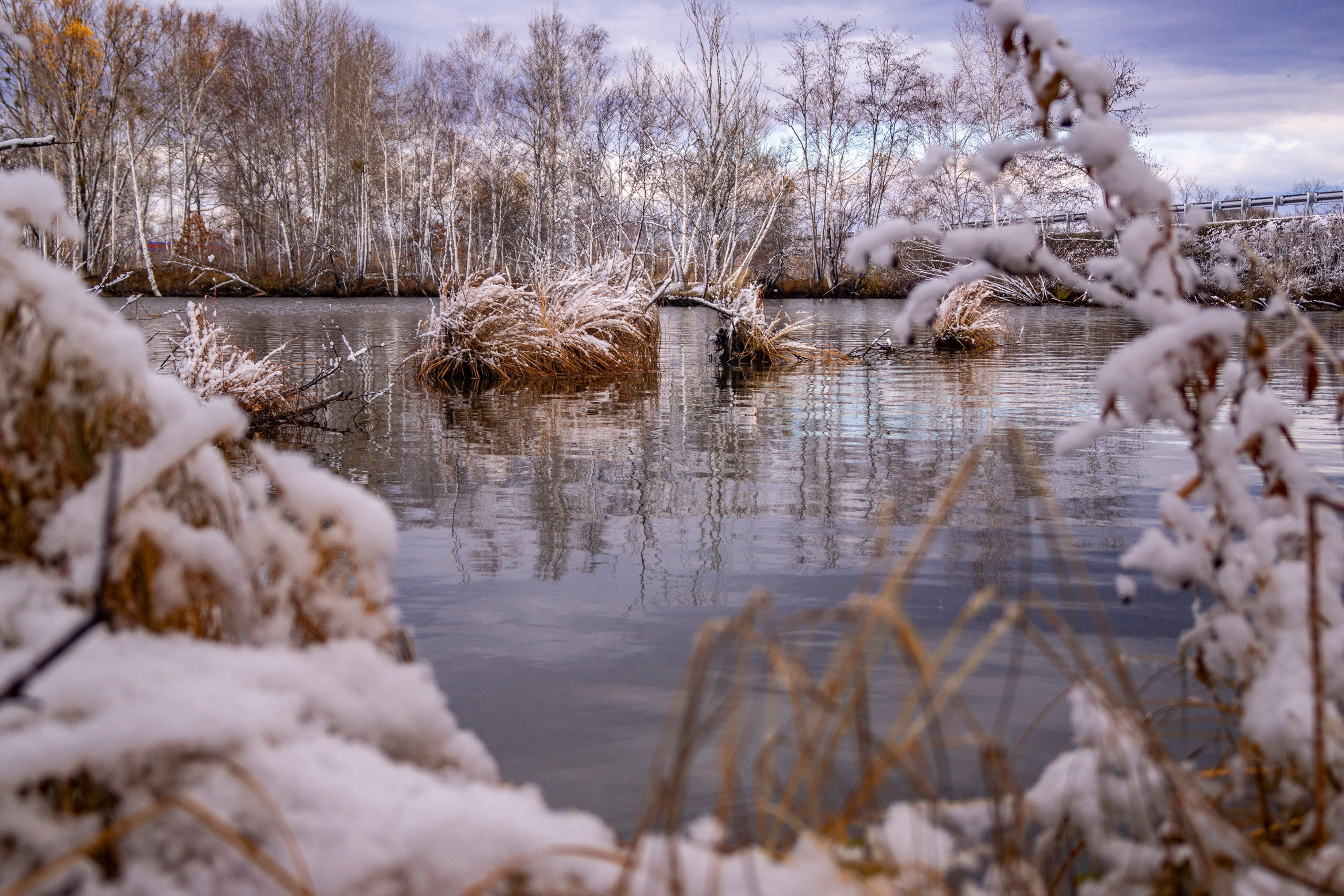 Природа Хабаровского края. Команда фотографов Кристины Ивановой