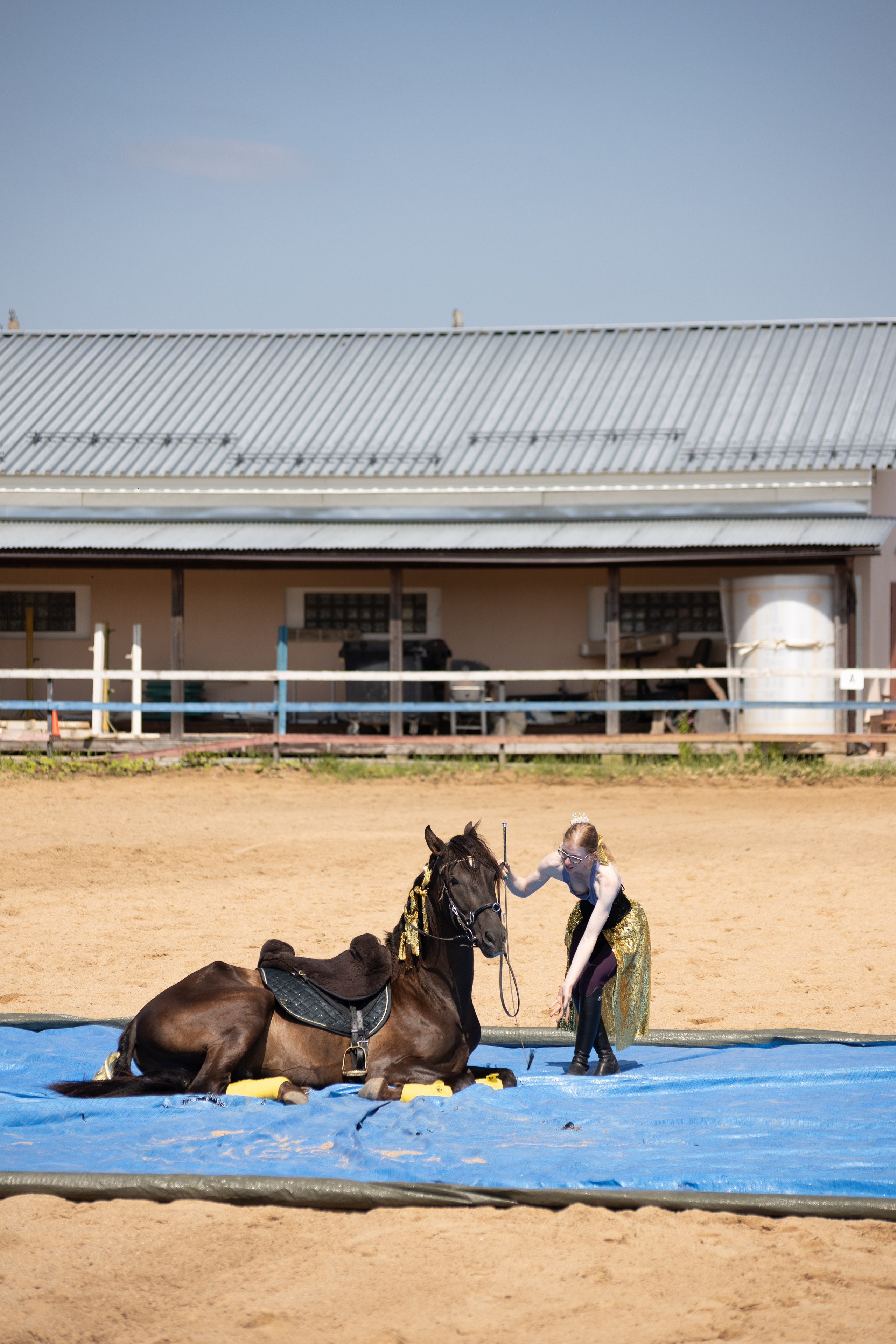 Конюшня. Фотограф в Москве и Истре