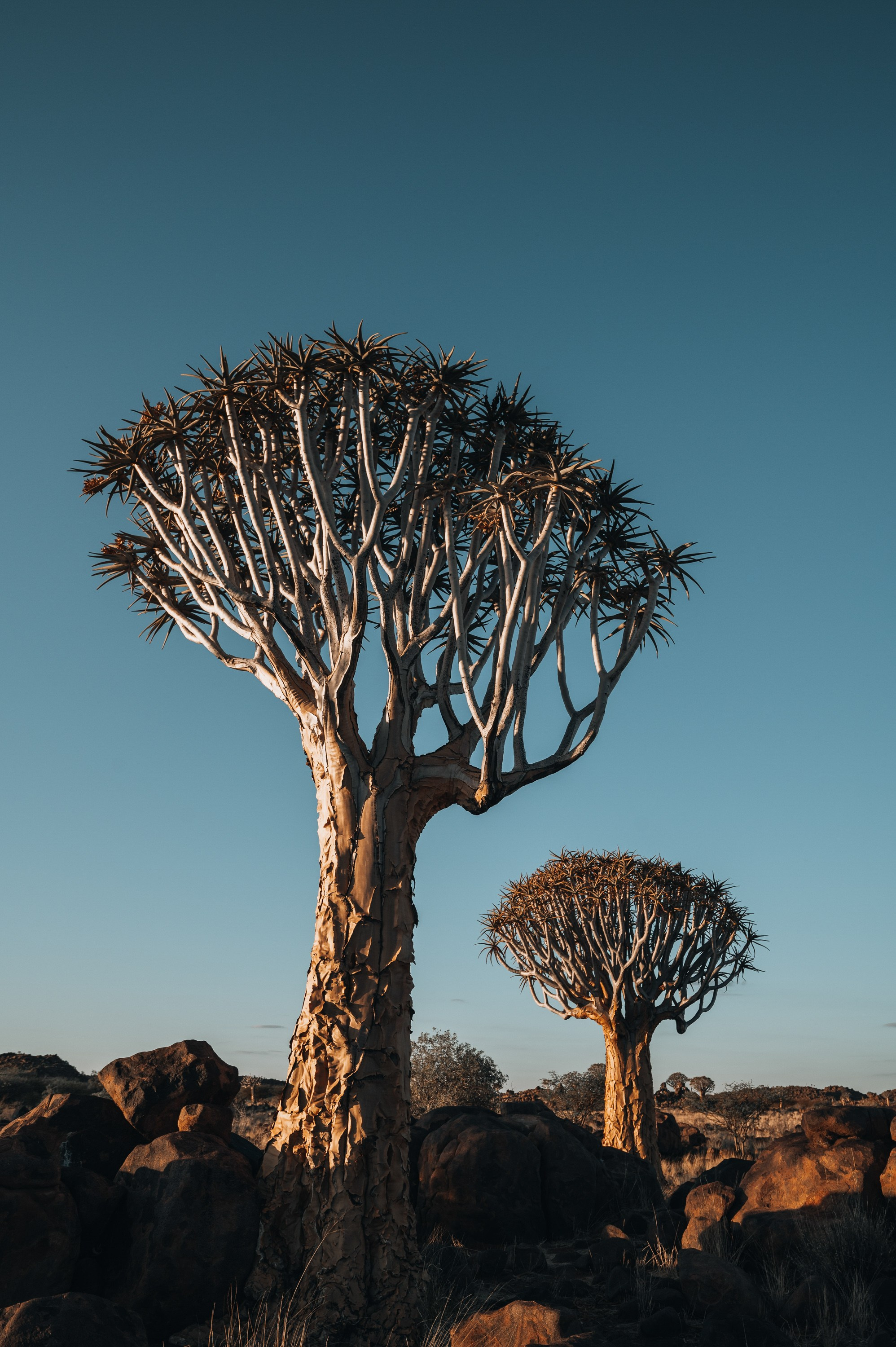 НАМИБИЯ. Роадтрип