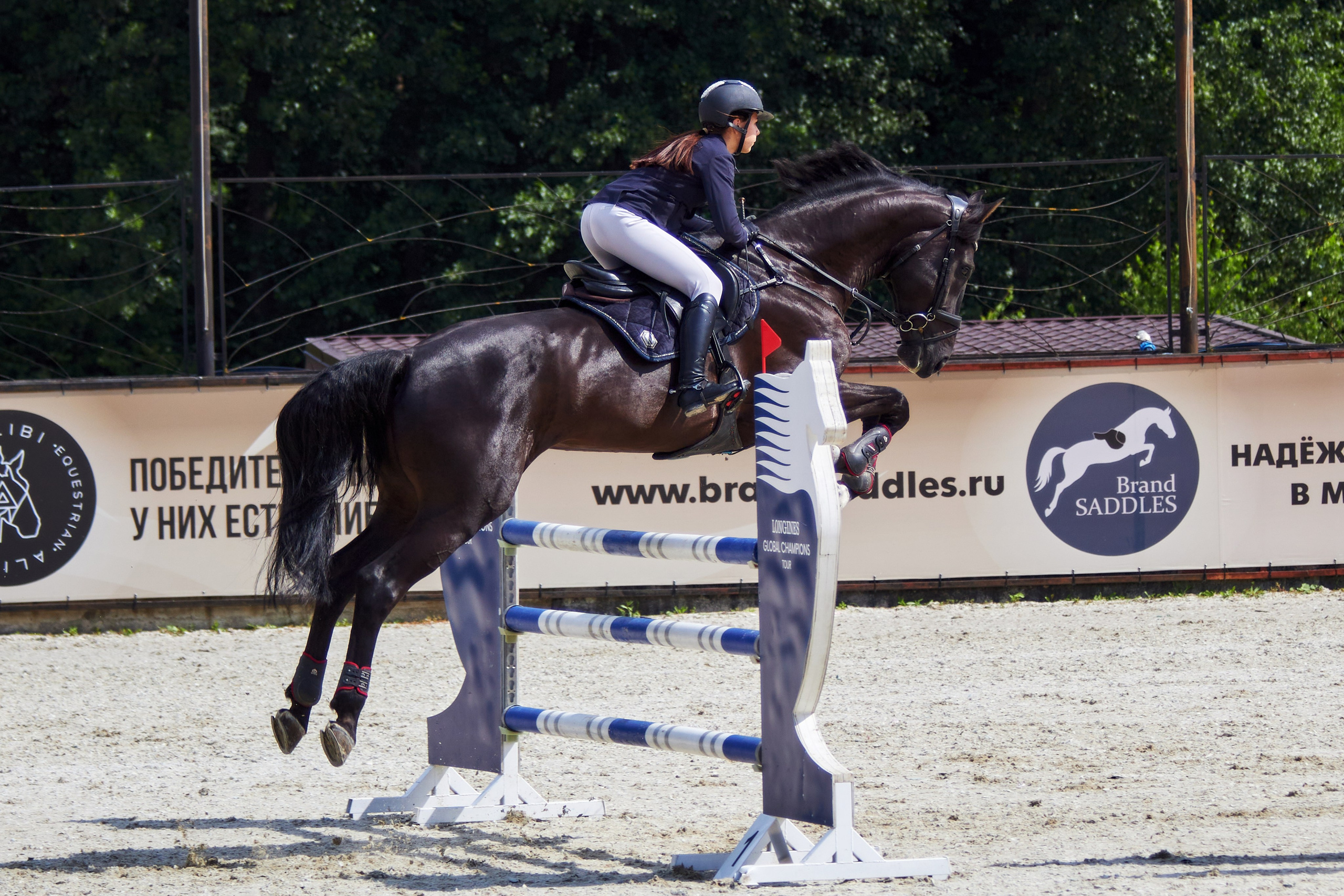 Конкур в «Виват, Россия». Фотограф анималист — Тула, Москва