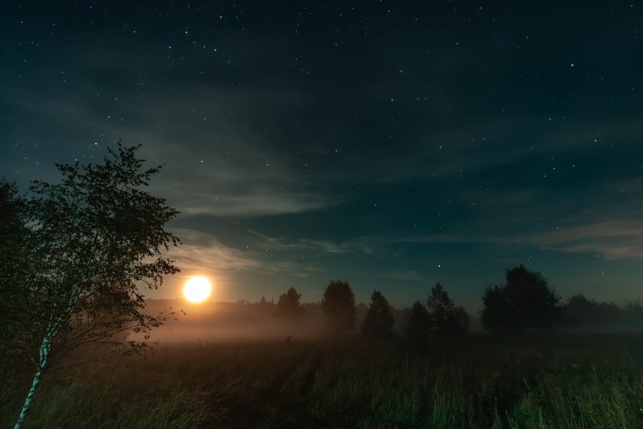 ПЛАНЕТА ЗЕМЛЯ (пейзаж). АЛЕКСЕЙ КОЛМАКОВ. Фотограф. Москва и Московская область