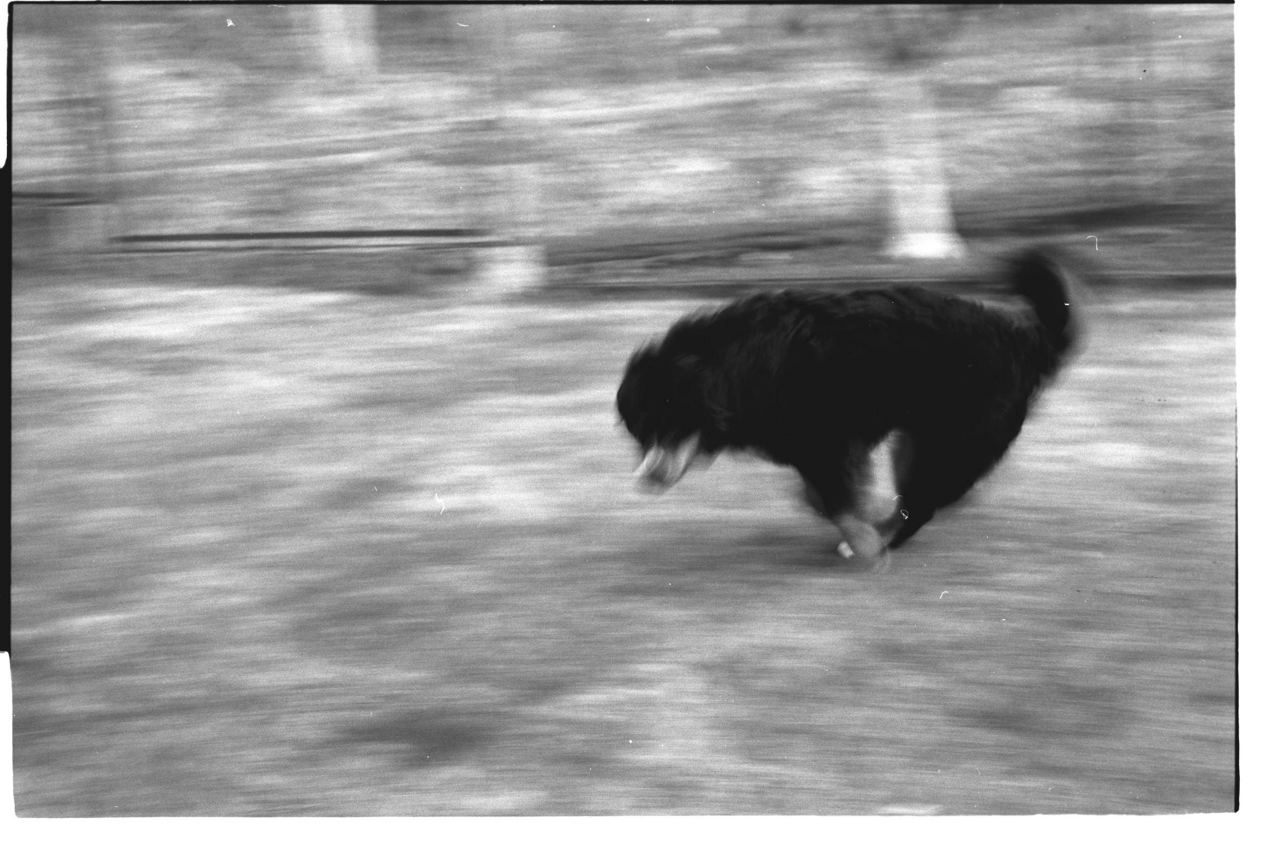 Dream chronicle. Part II. Pictorial dream — fine art fil photography by Yaroslav Pavlov