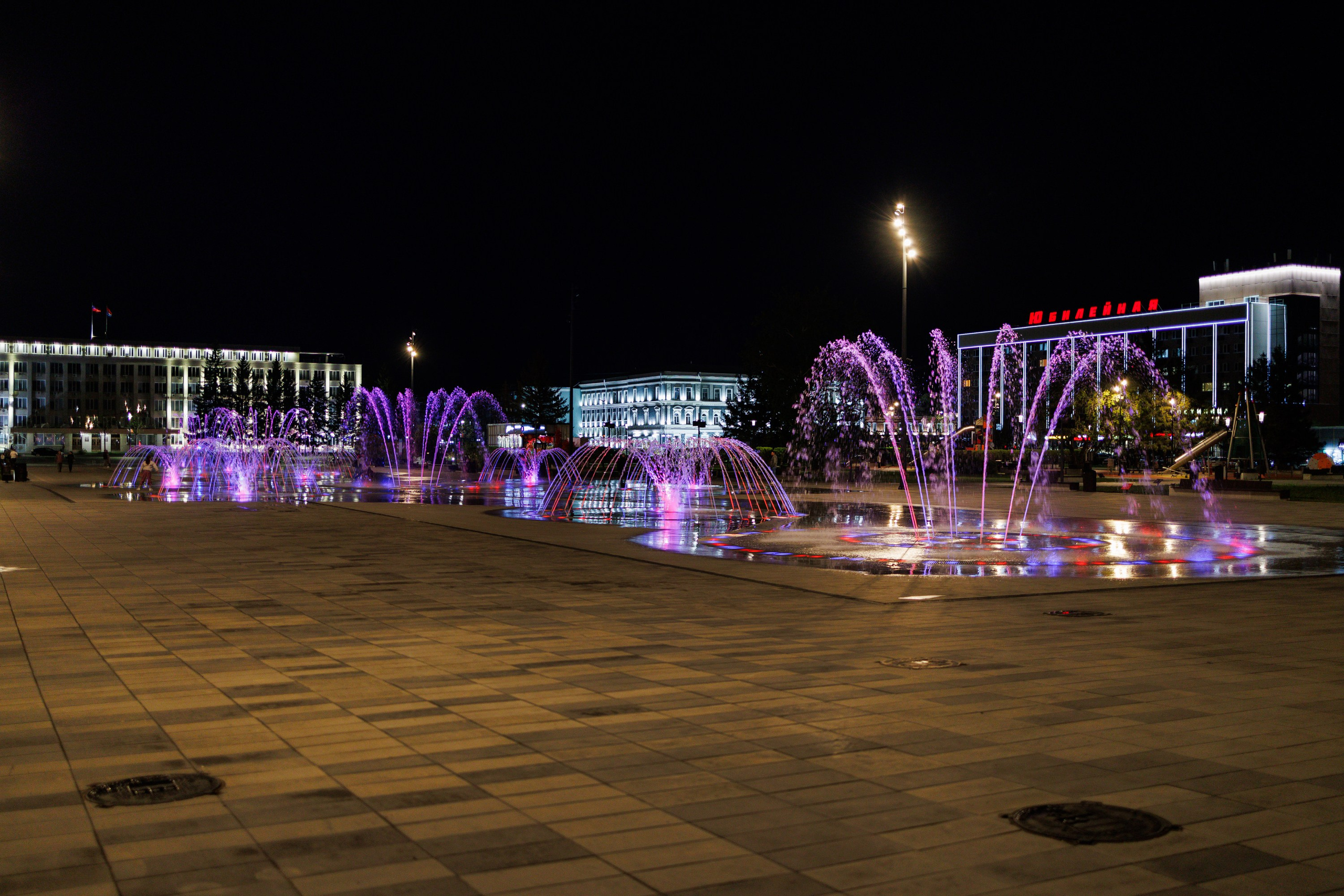 Российско-китайский экономический форум «АмурЭкспо» АЭФ. Свадебный, семейный и репортажный фотограф в Южно-Сахалинске Артур Петросян