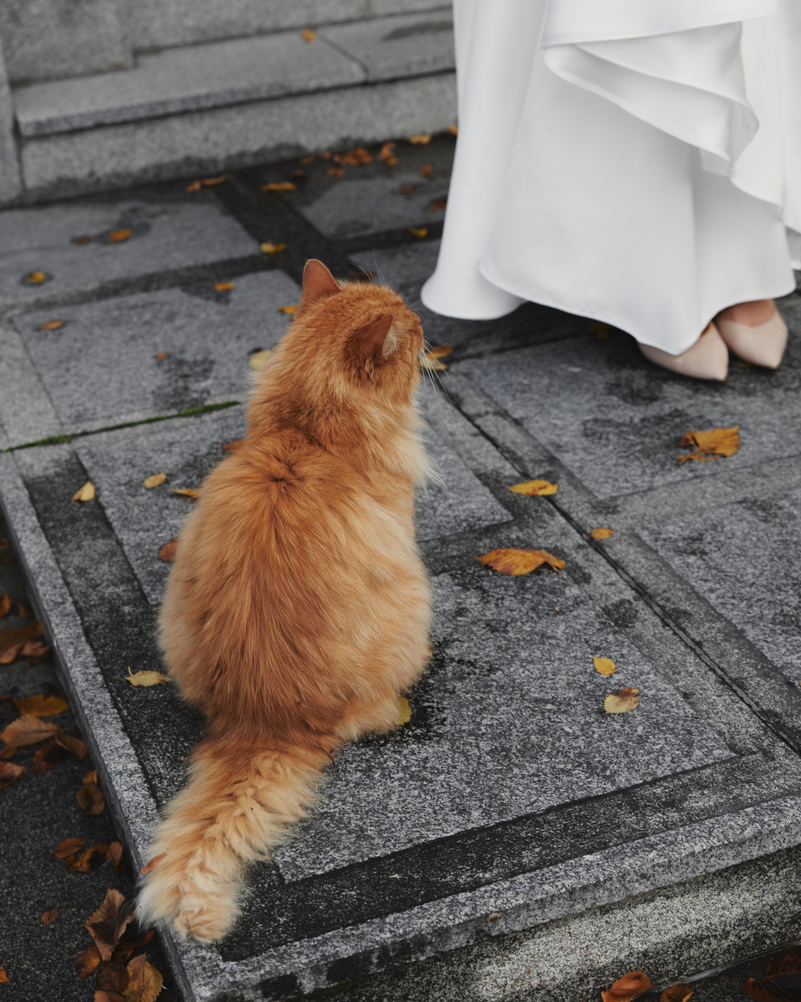 ⠀. Алина Орлова / Свадебный фотограф Санкт-Петербург Москва