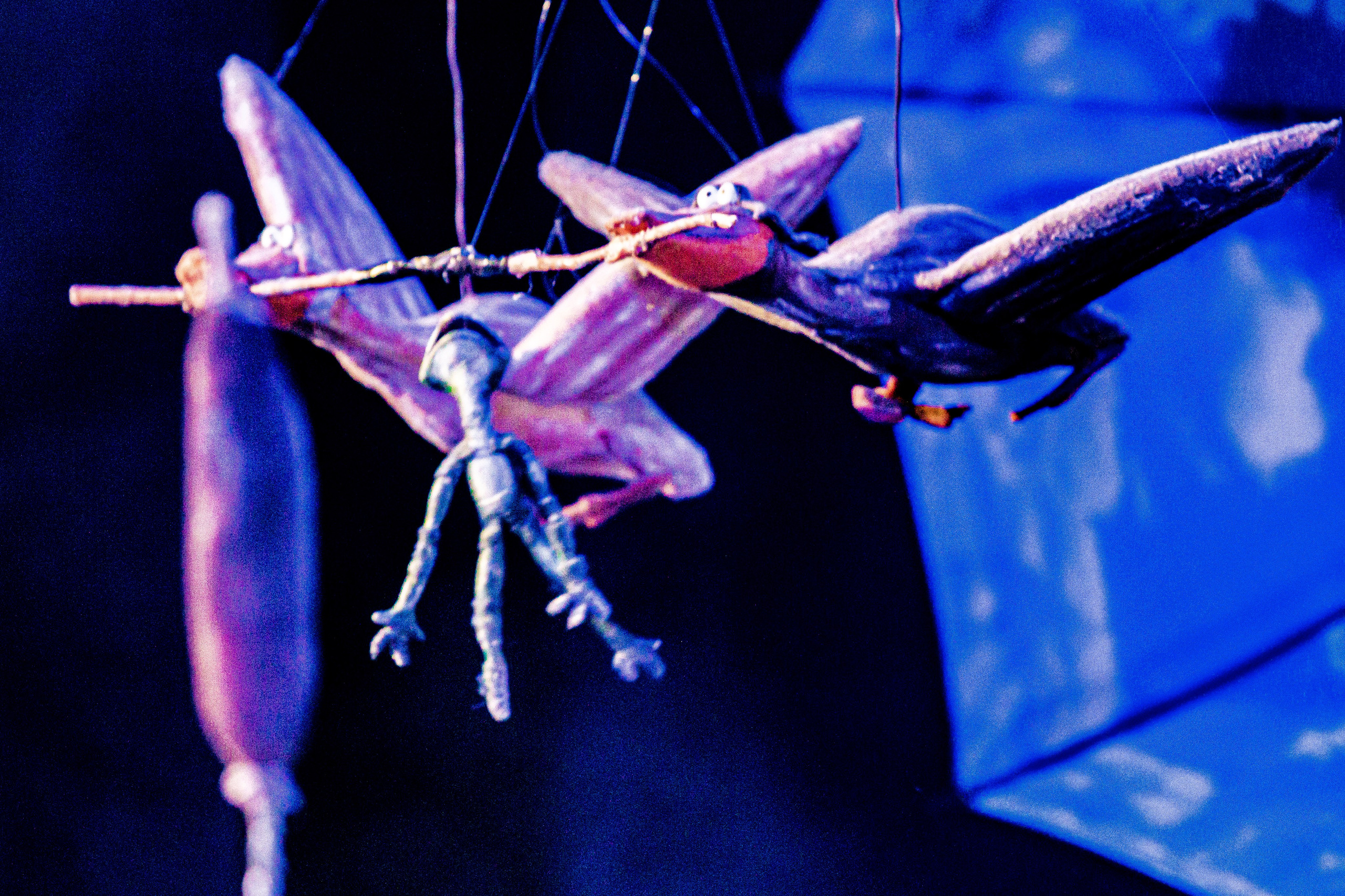 Спектакль театра Саквояж Лягушка путешествиница. Фотограф в Сочи Юрий Шептаев