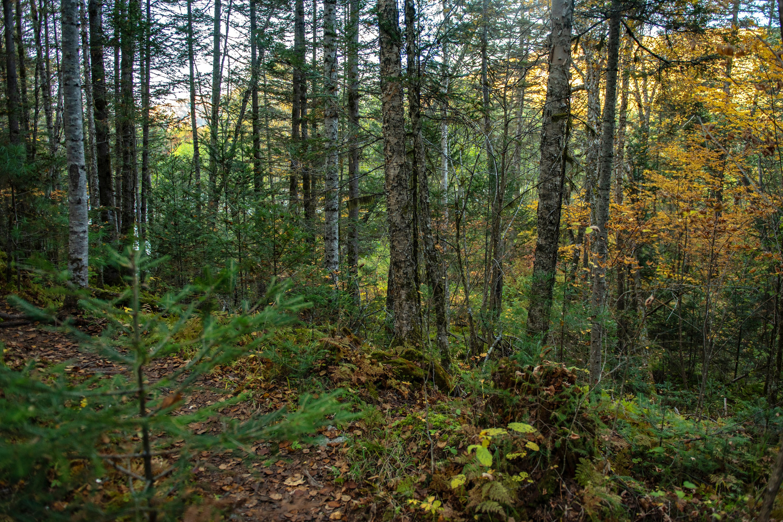 Природа Хабаровского края. Команда фотографов Кристины Ивановой