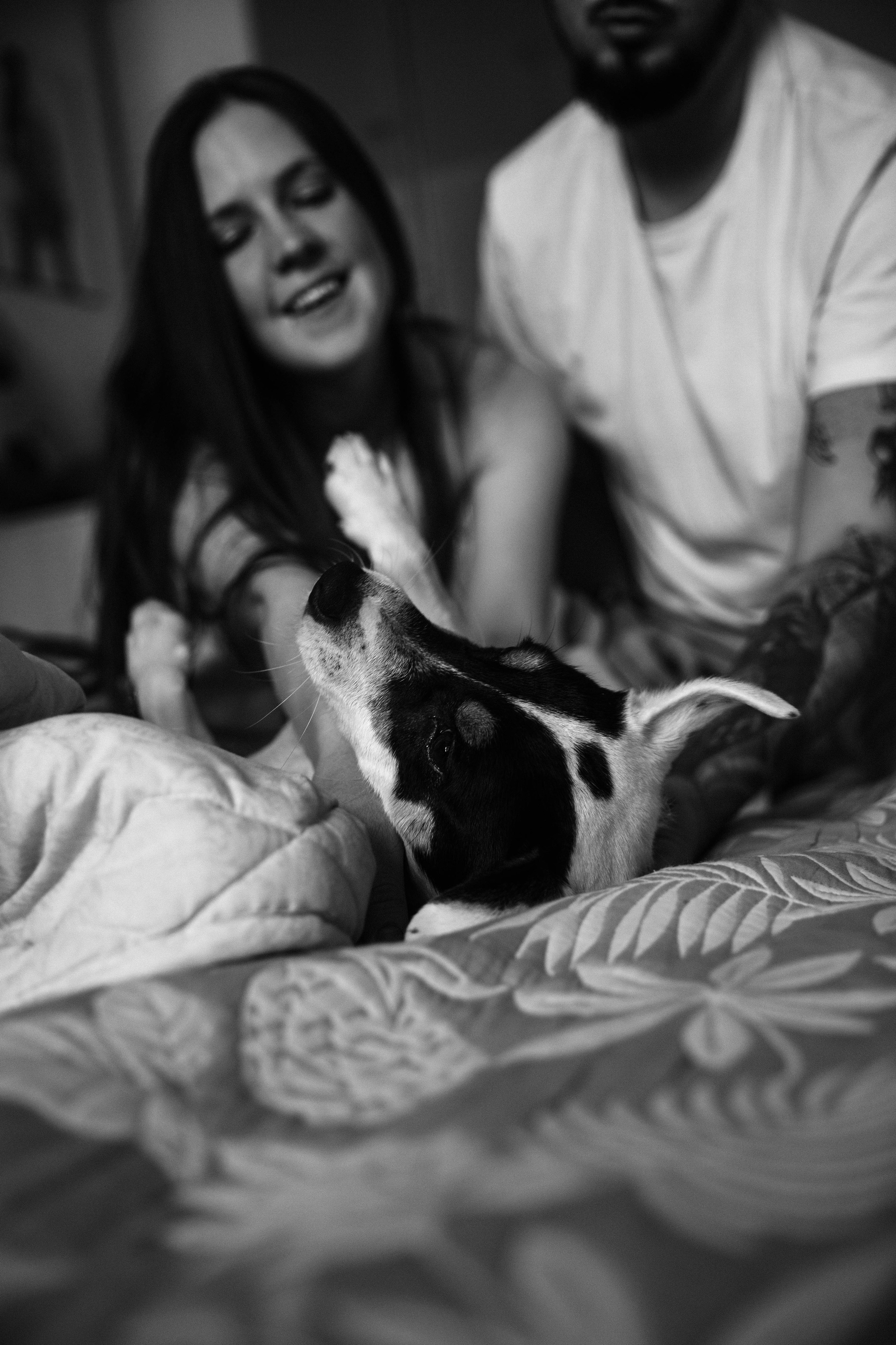 Дарья и Егор. Свадебный и семейный фотограф в Челябинске