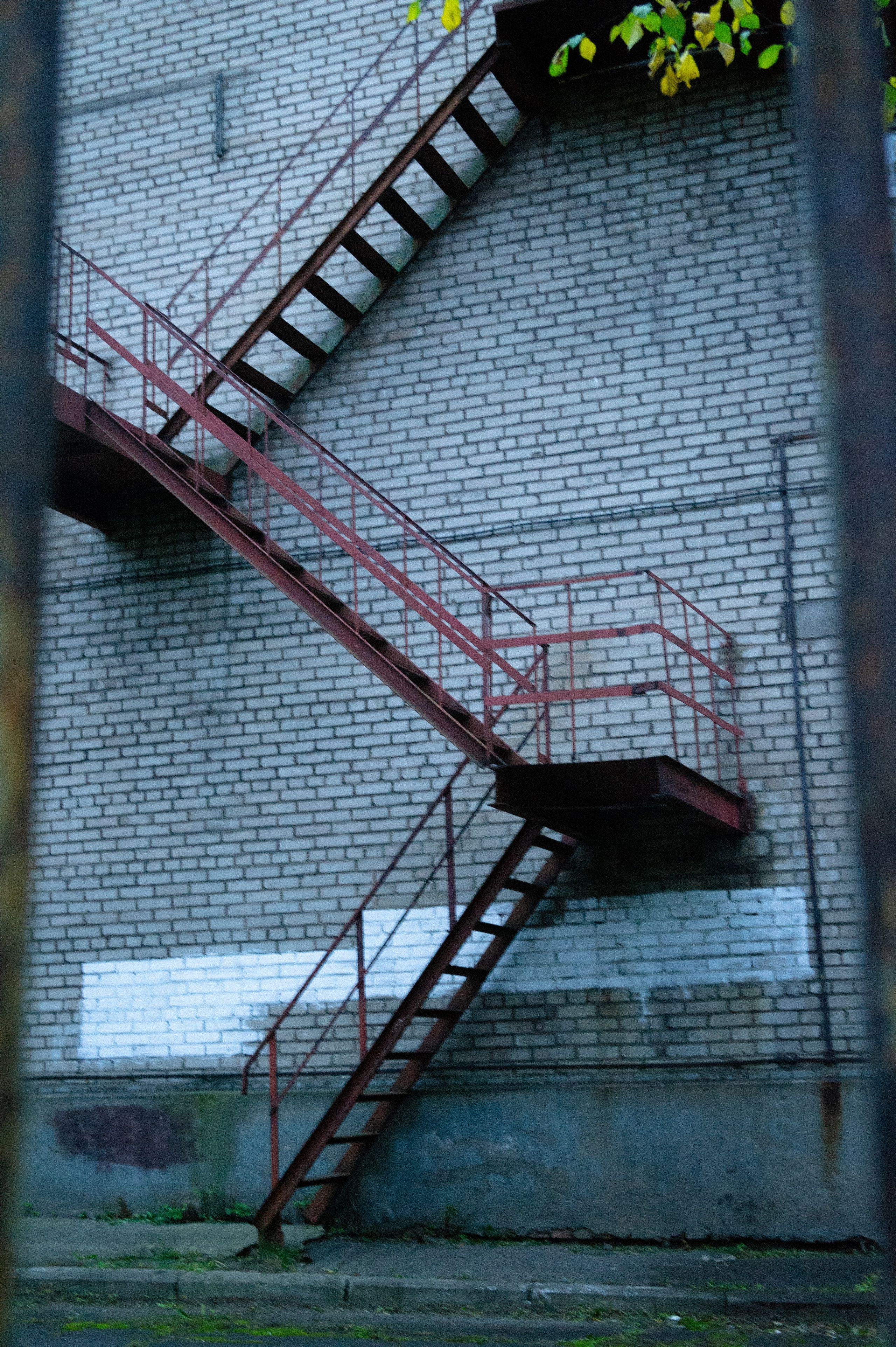 Сентябрь 2025. Den Mirov — Фотограф, Музыкант