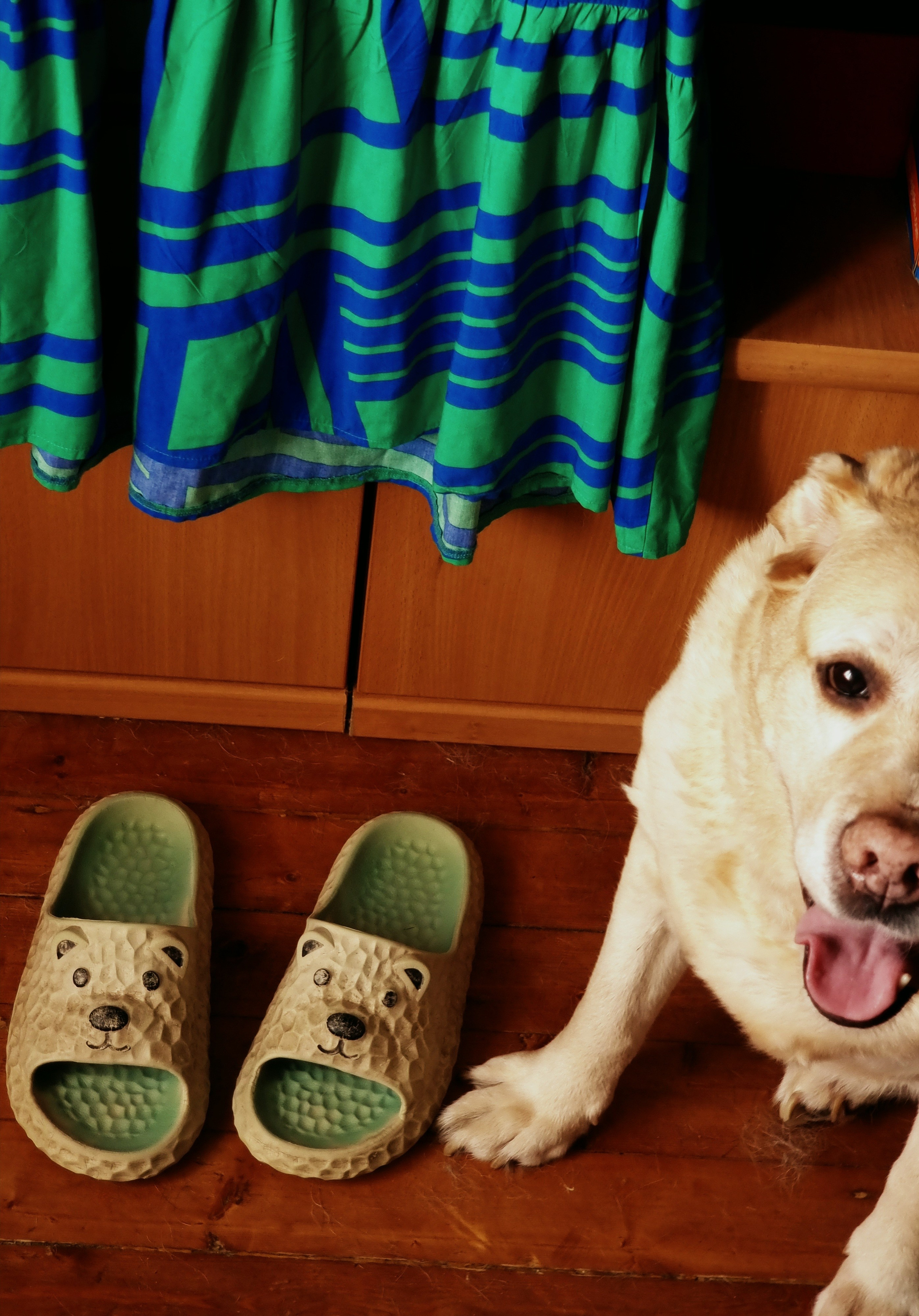 Июль 2025. Den Mirov — Фотограф, Музыкант