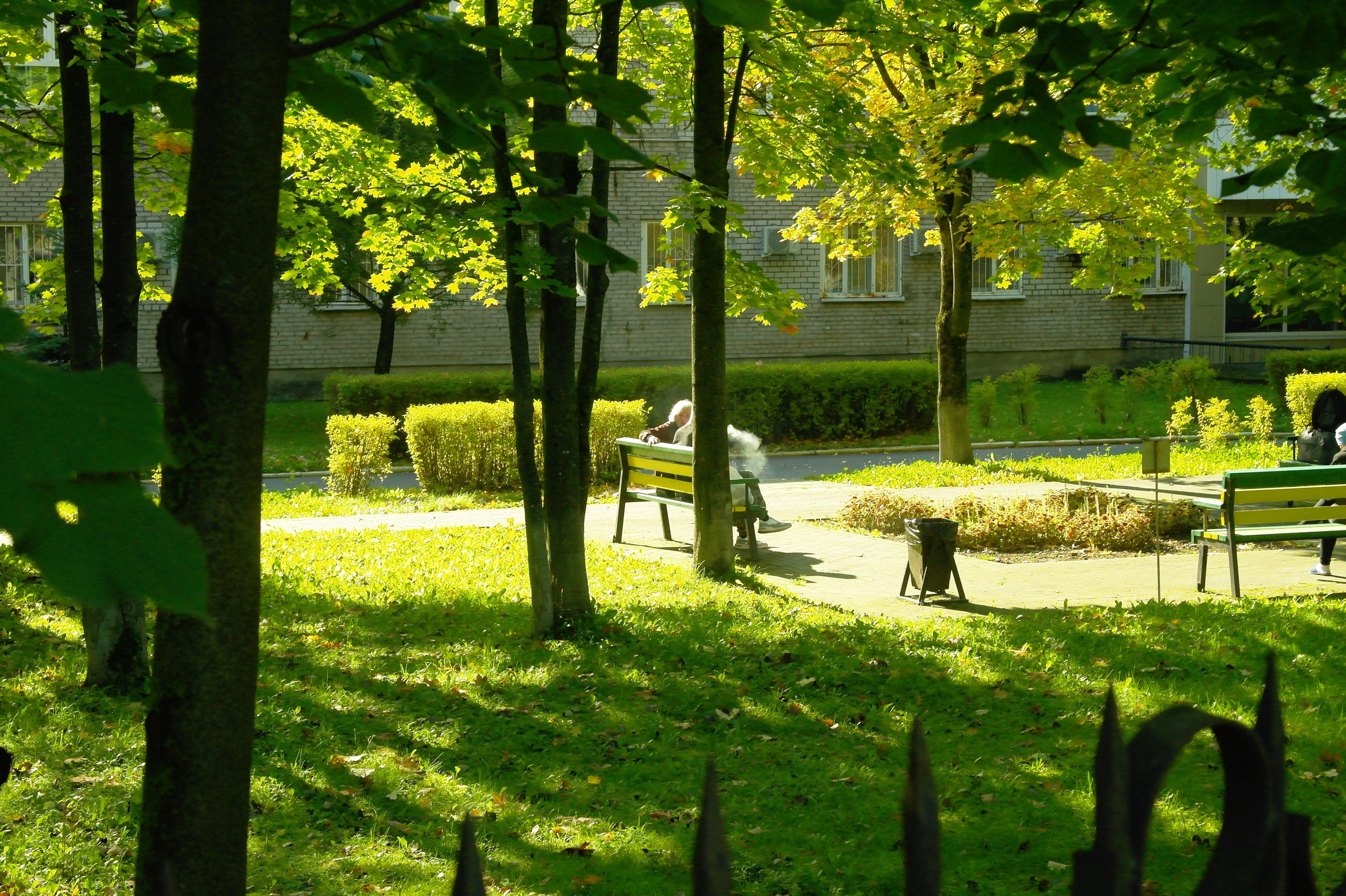 Сентябрь 2025. Den Mirov — Фотограф, Музыкант