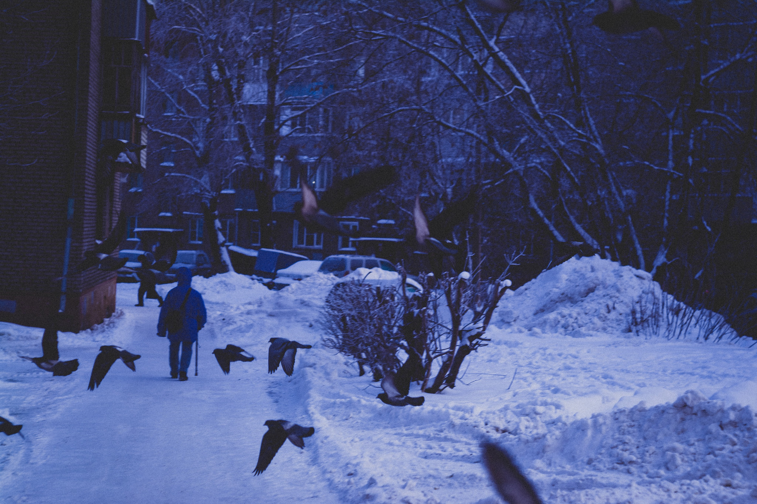 Стрит. Den Mirov — Фотограф, Музыкант