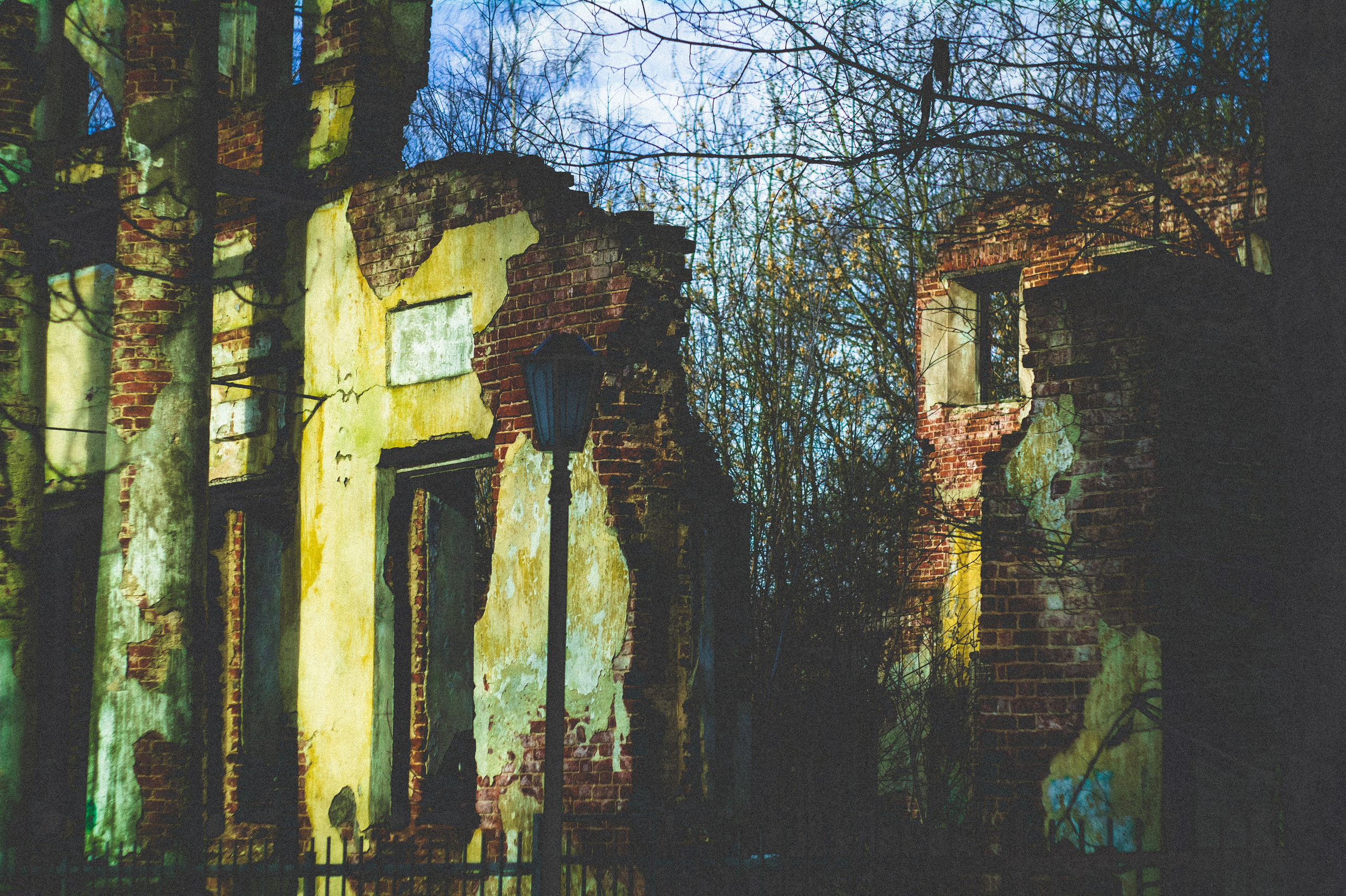 Kingdom. Den Mirov — Photographer, Musician