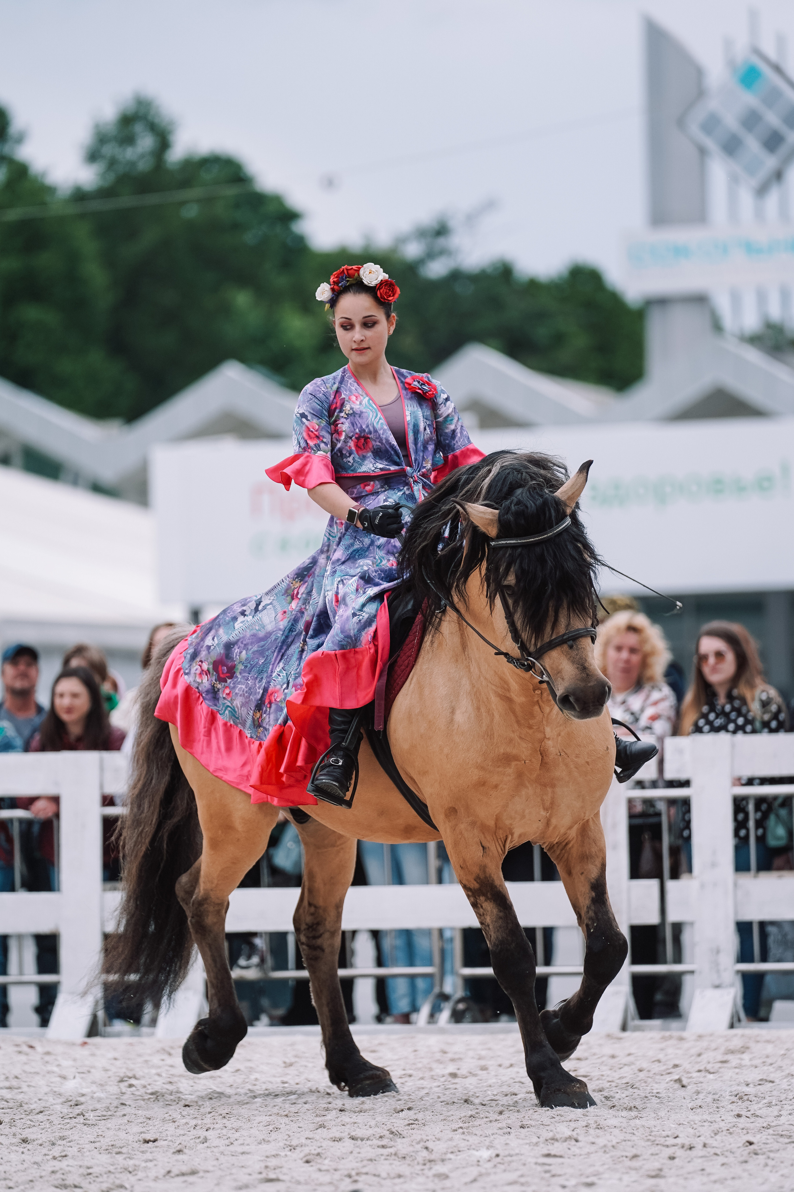Выставка «Эквирос». Спортивный и репортажный фотограф в Москве и области Мари Панадеро