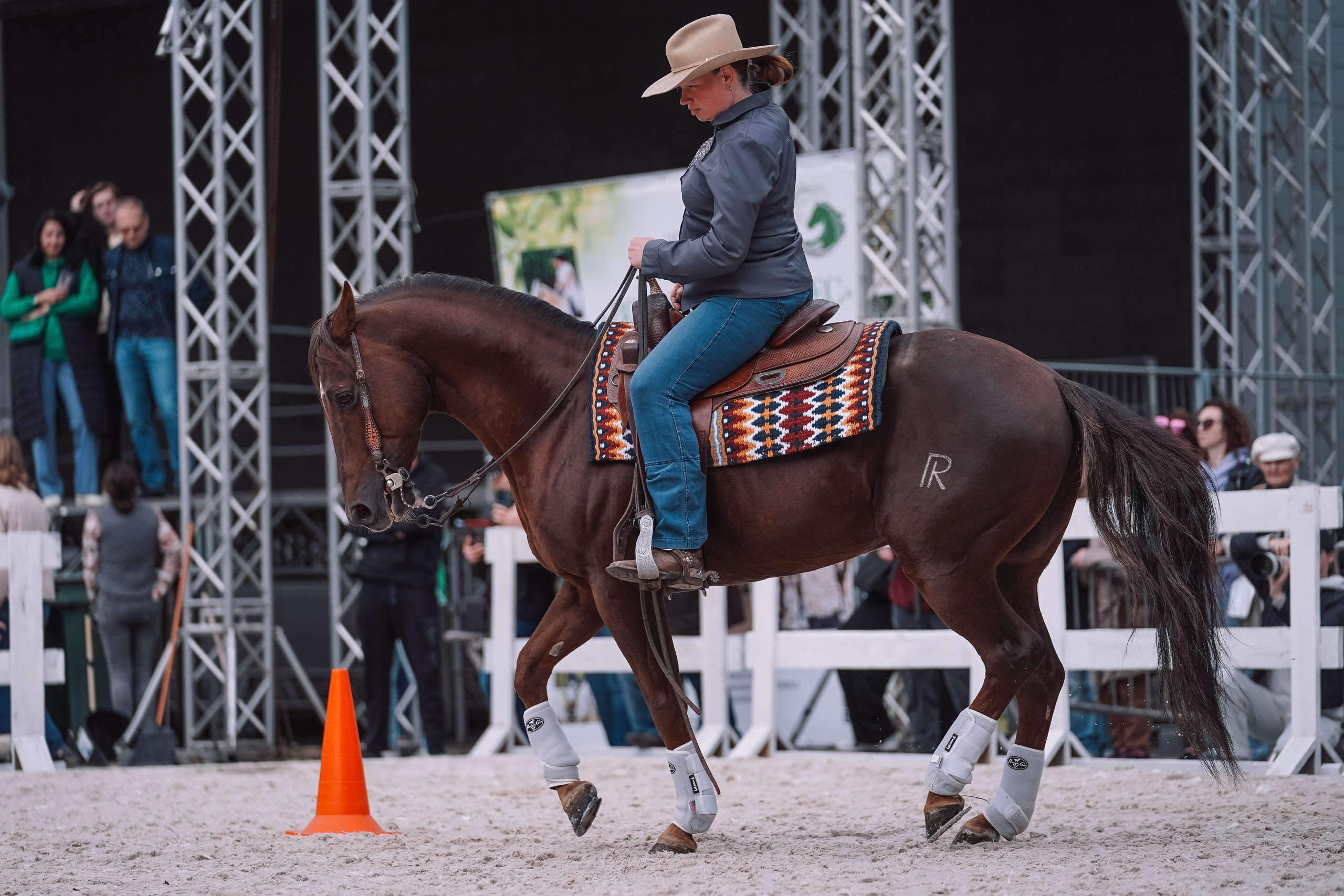 Выставка «Эквирос». Спортивный и репортажный фотограф в Москве и области Мари Панадеро