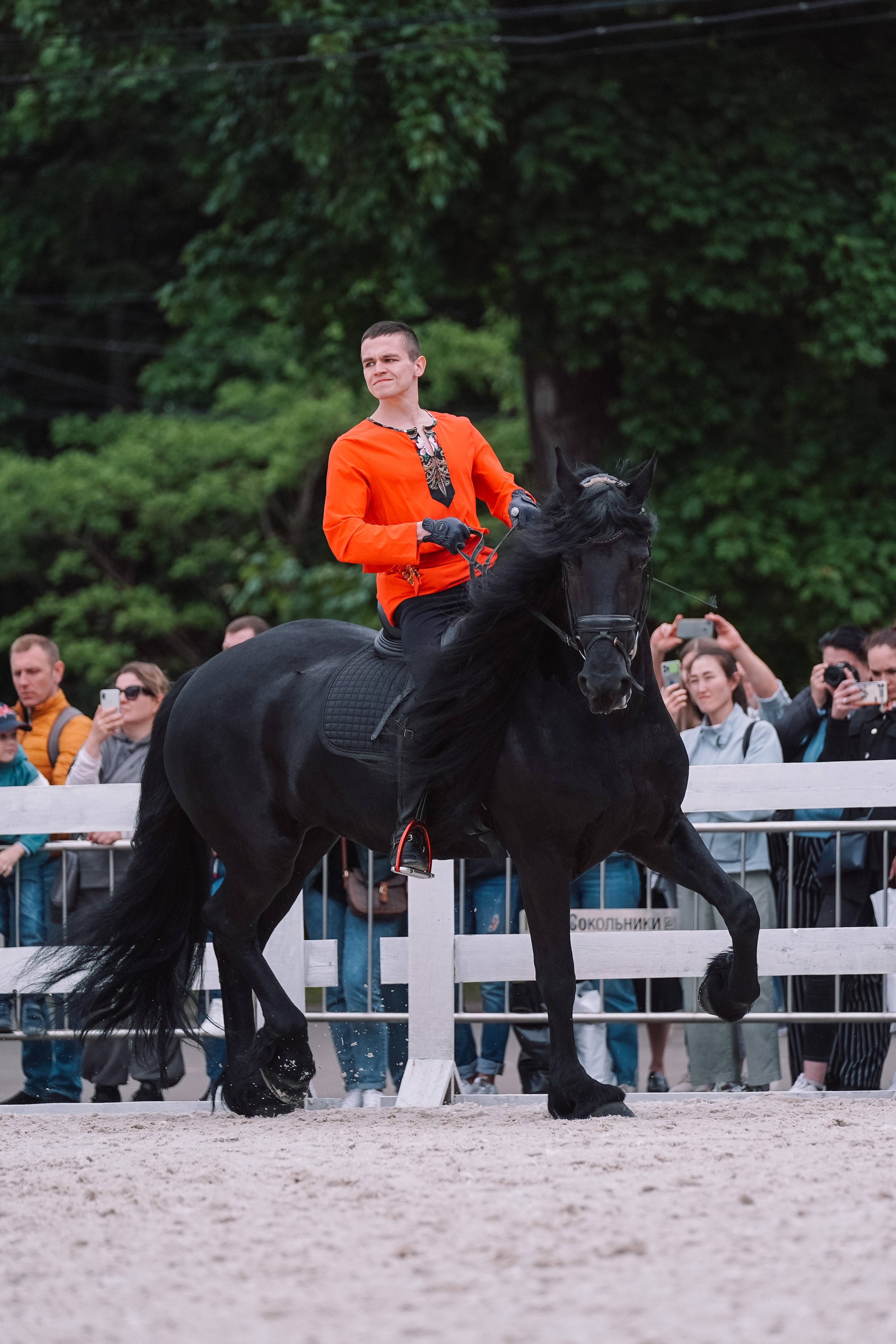 Выставка «Эквирос». Спортивный и репортажный фотограф в Москве и области Мари Панадеро