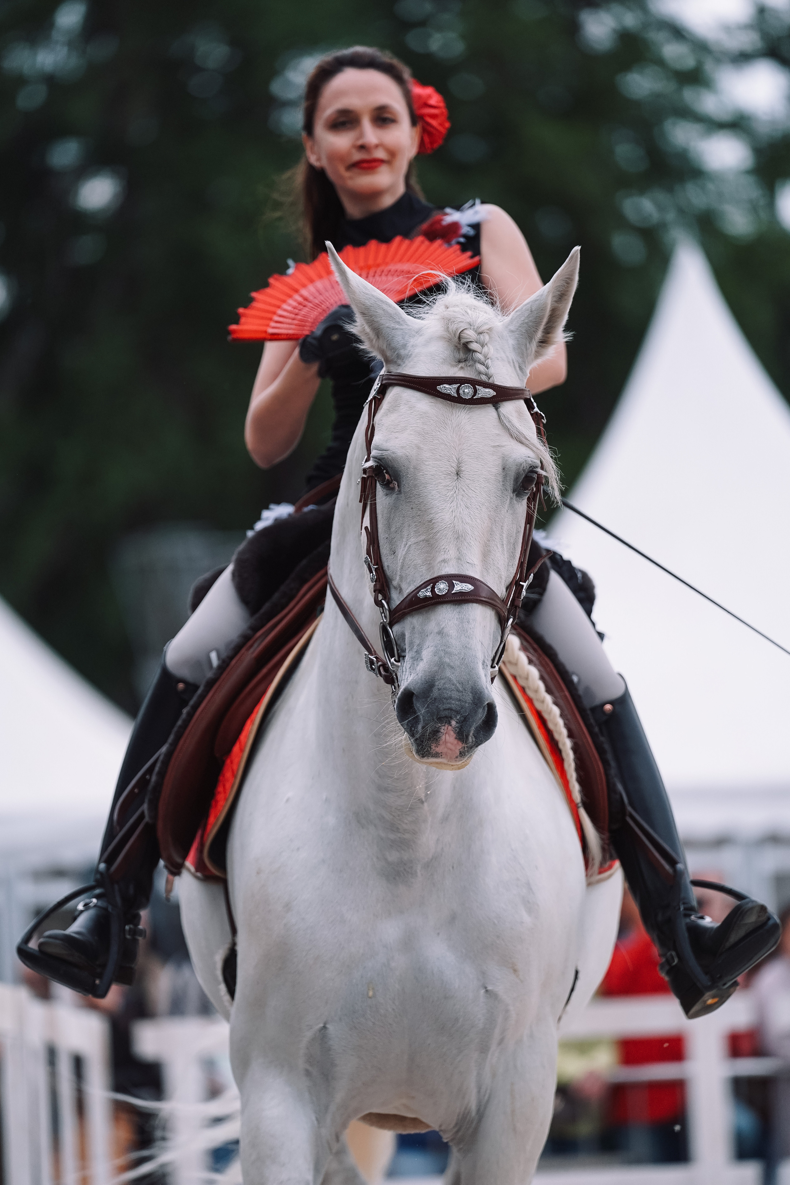 Выставка «Эквирос». Спортивный и репортажный фотограф в Москве и области Мари Панадеро