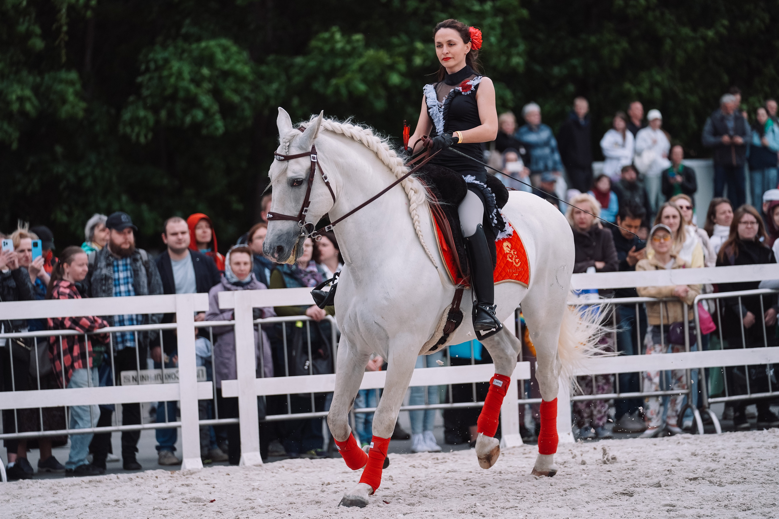 Выставка «Эквирос». Спортивный и репортажный фотограф в Москве и области Мари Панадеро