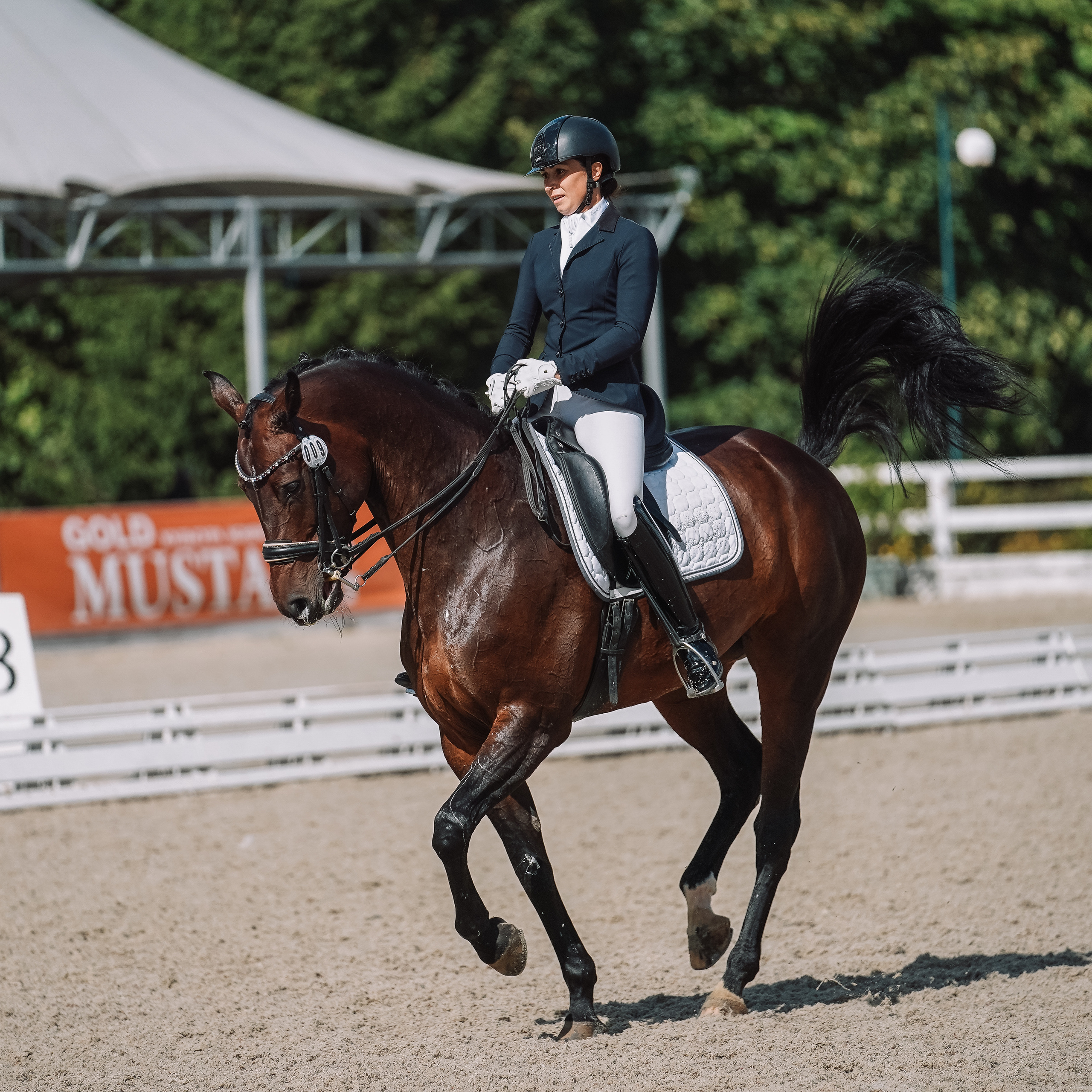 Выездка. Спортивный и репортажный фотограф в Москве и области Мари Панадеро