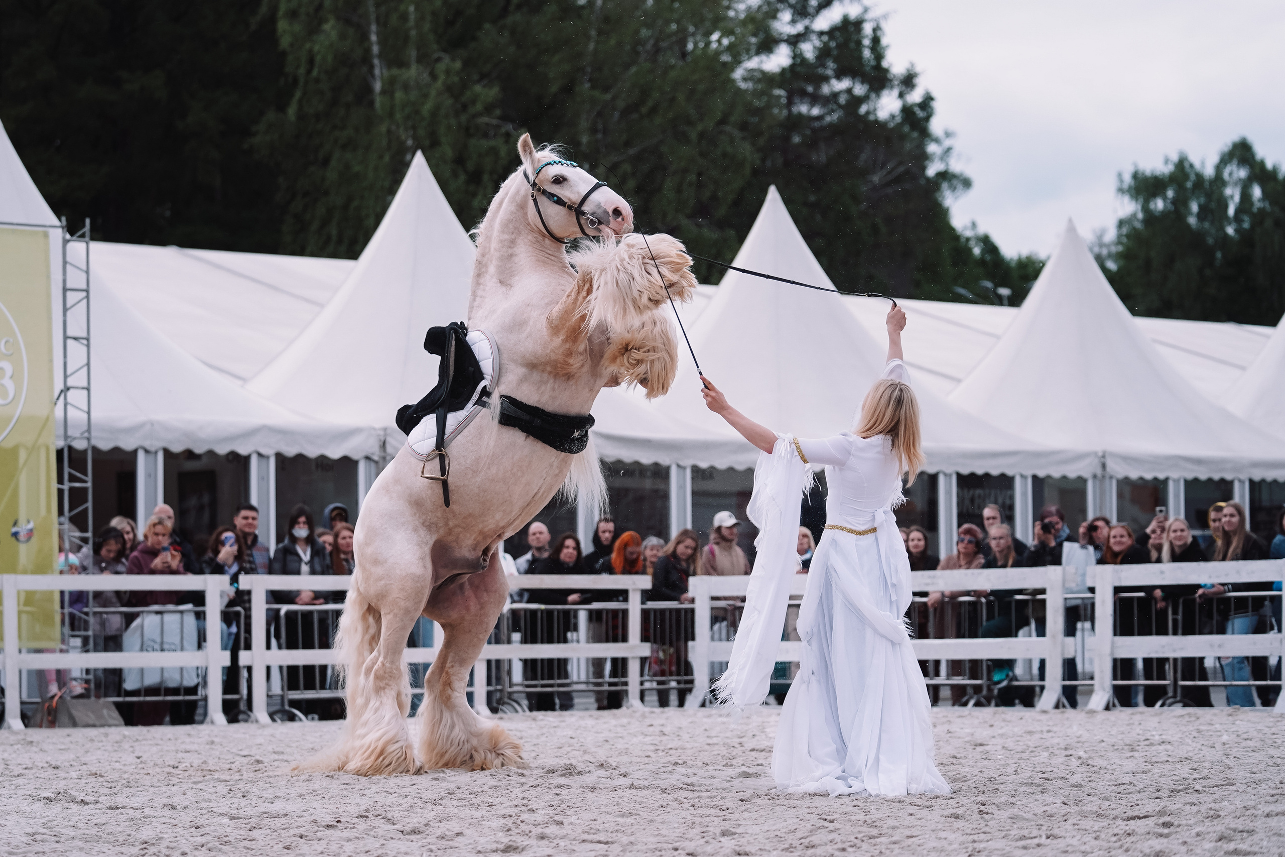 Выставка «Эквирос». Спортивный и репортажный фотограф в Москве и области Мари Панадеро