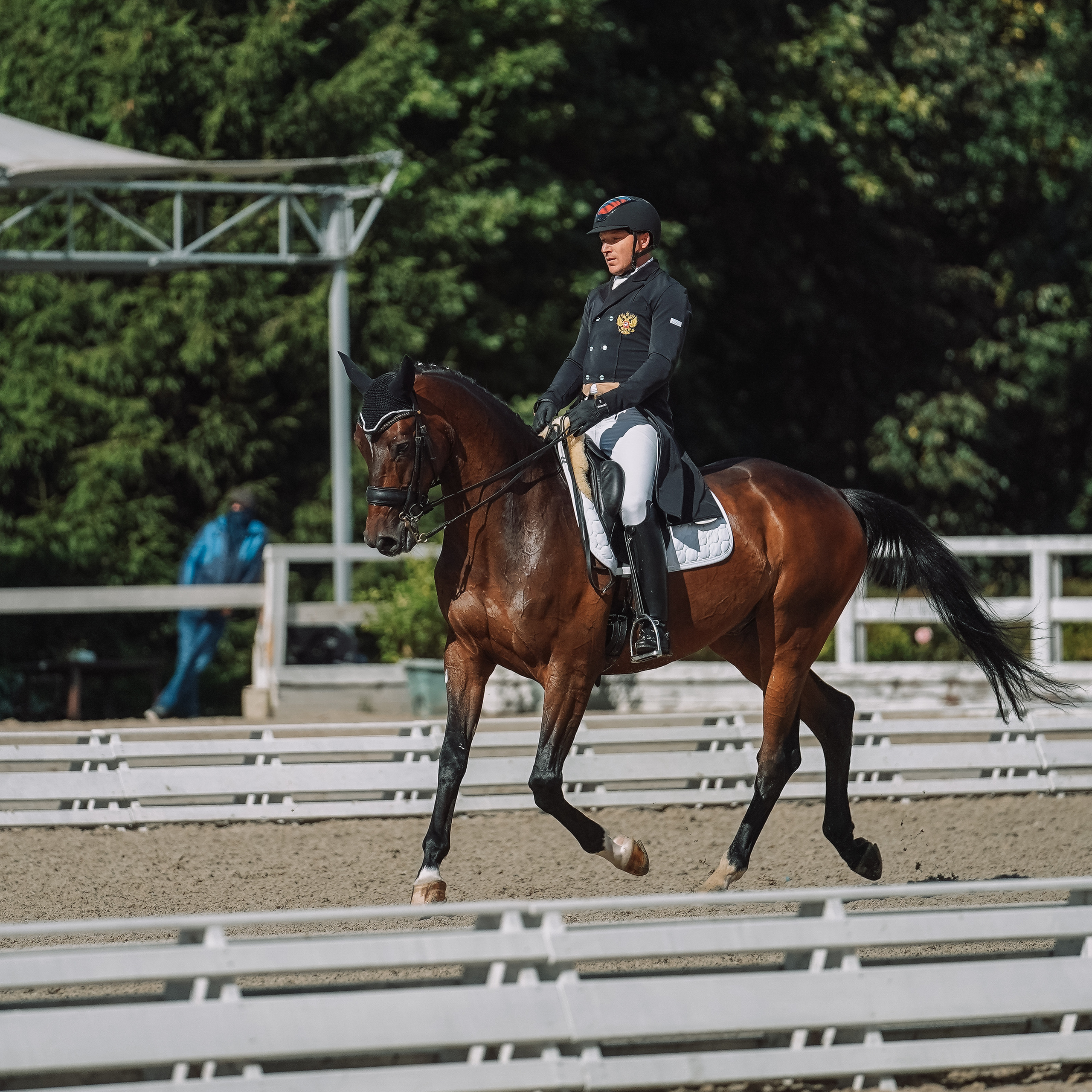 Выездка. Спортивный и репортажный фотограф в Москве и области Мари Панадеро