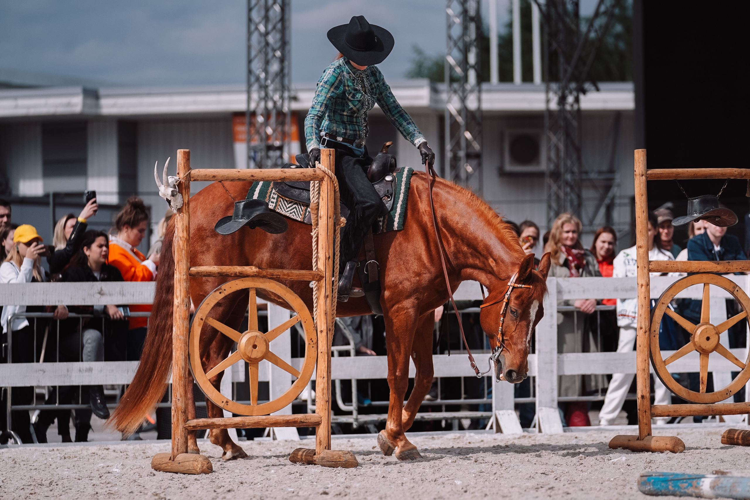 Выставка «Эквирос». Спортивный и репортажный фотограф в Москве и области Мари Панадеро
