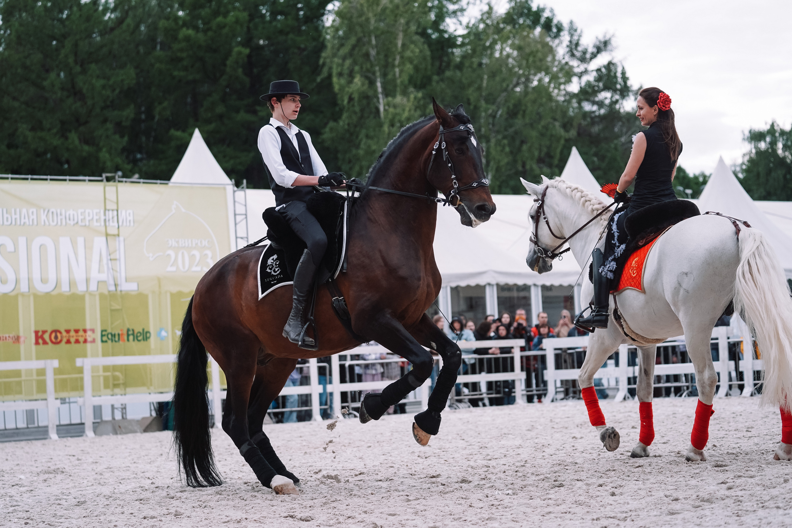Выставка «Эквирос». Спортивный и репортажный фотограф в Москве и области Мари Панадеро